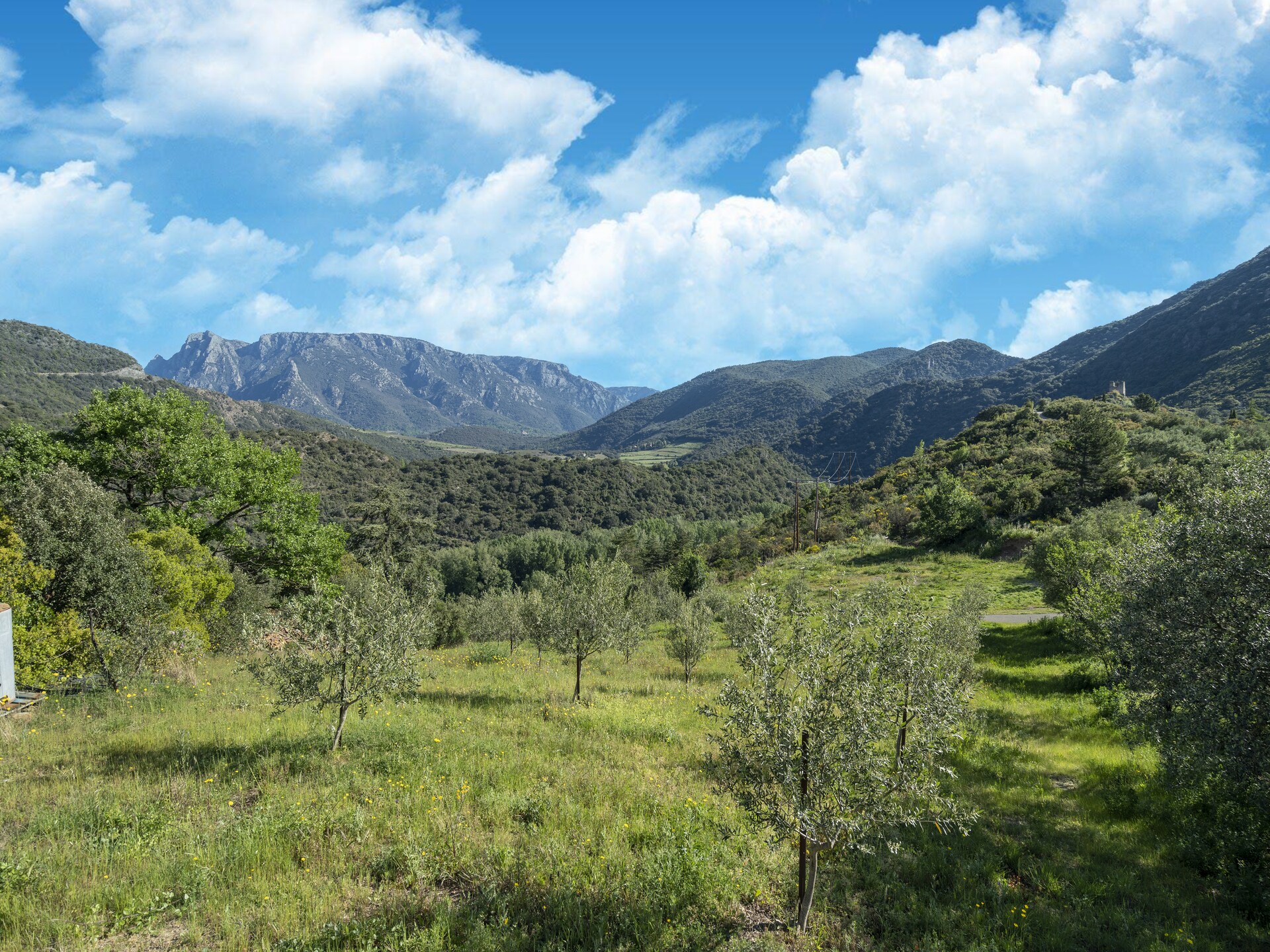 Villa L'Oustal: Ruim familieparadijs met privézwembad in Vieussan - foto 34