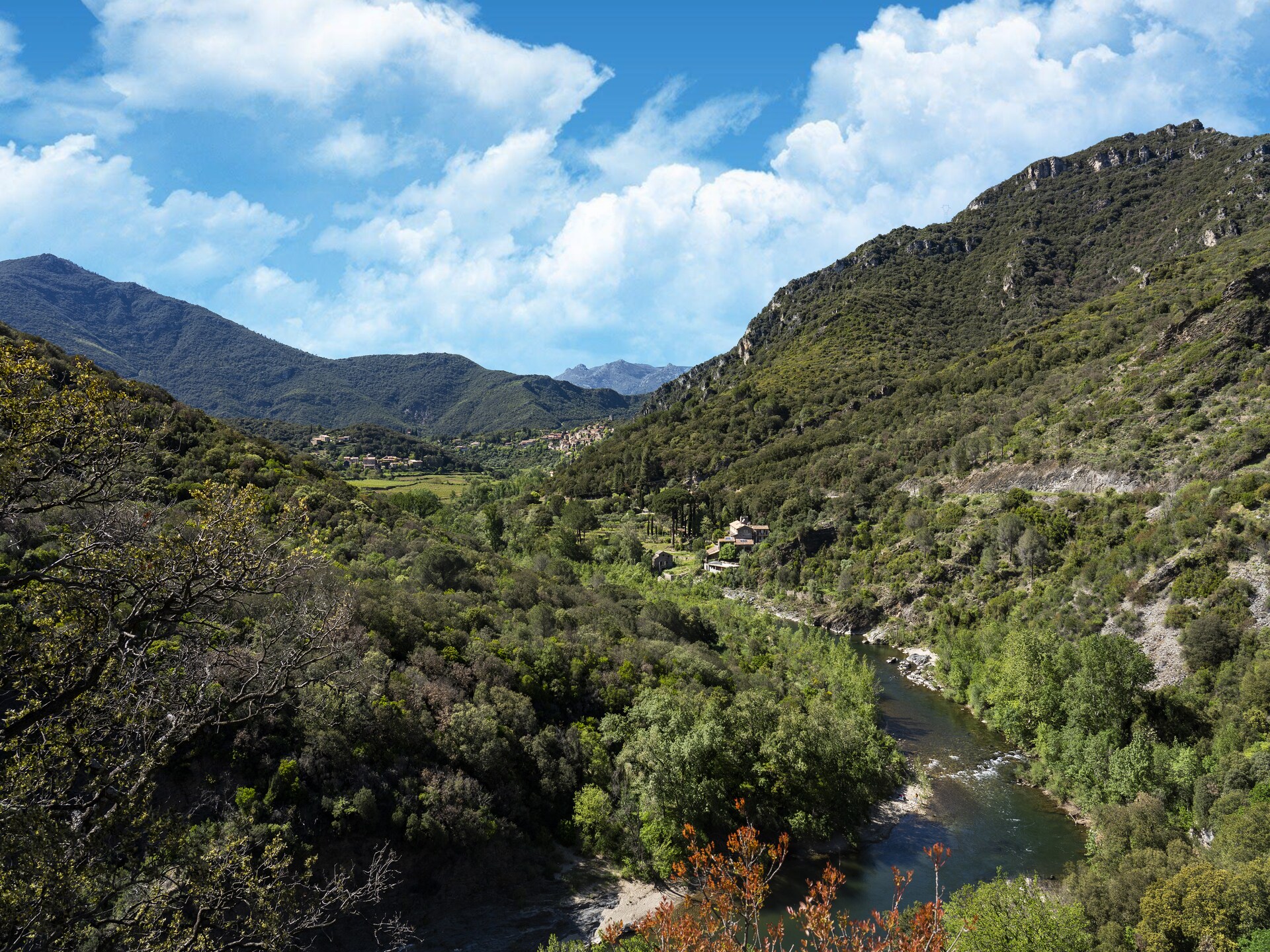 Villa L'Oustal: Ruim familieparadijs met privézwembad in Vieussan - foto 35