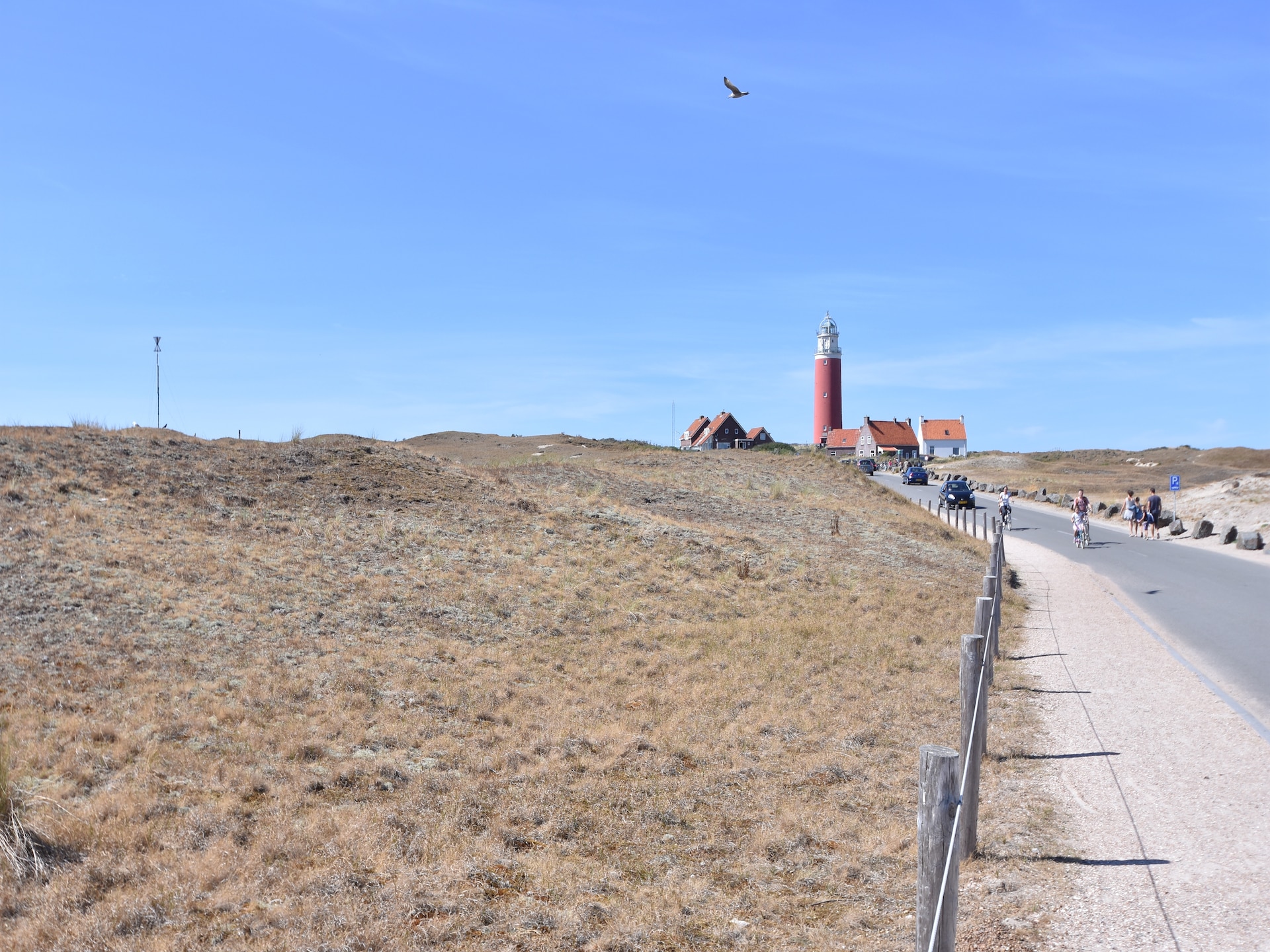 Moderne bosbungalow voor 6 personen op Texel, nabij golfbaan en strand - foto 16