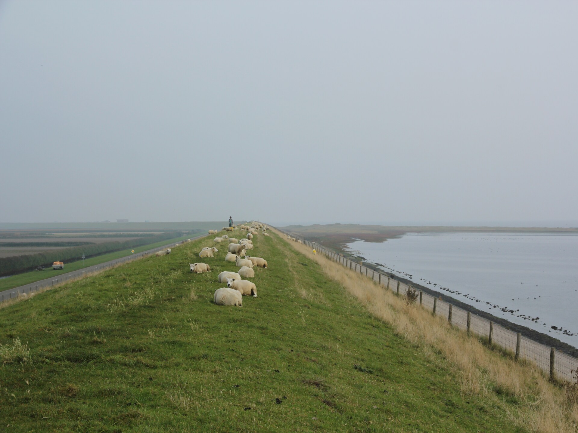 Moderne bosbungalow voor 6 personen op Texel, nabij golfbaan en strand - foto 14