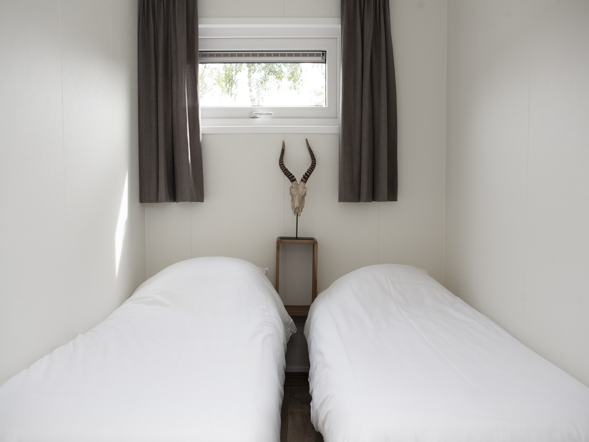 Wellness chalet met privésauna op de Veluwe, huisdiervriendelijk - foto 8