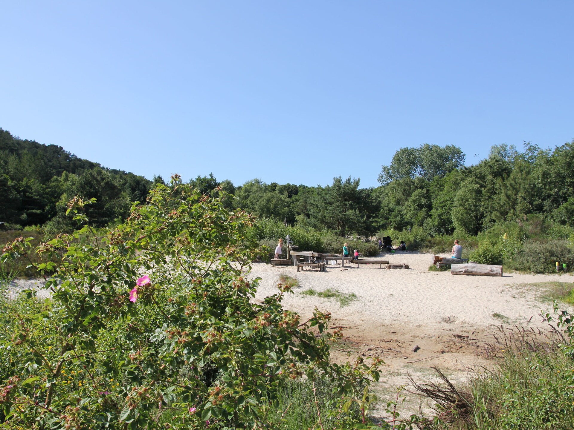Scoreldame XL: Ruime villa met sauna voor 14 gasten in Schoorldam - foto 34