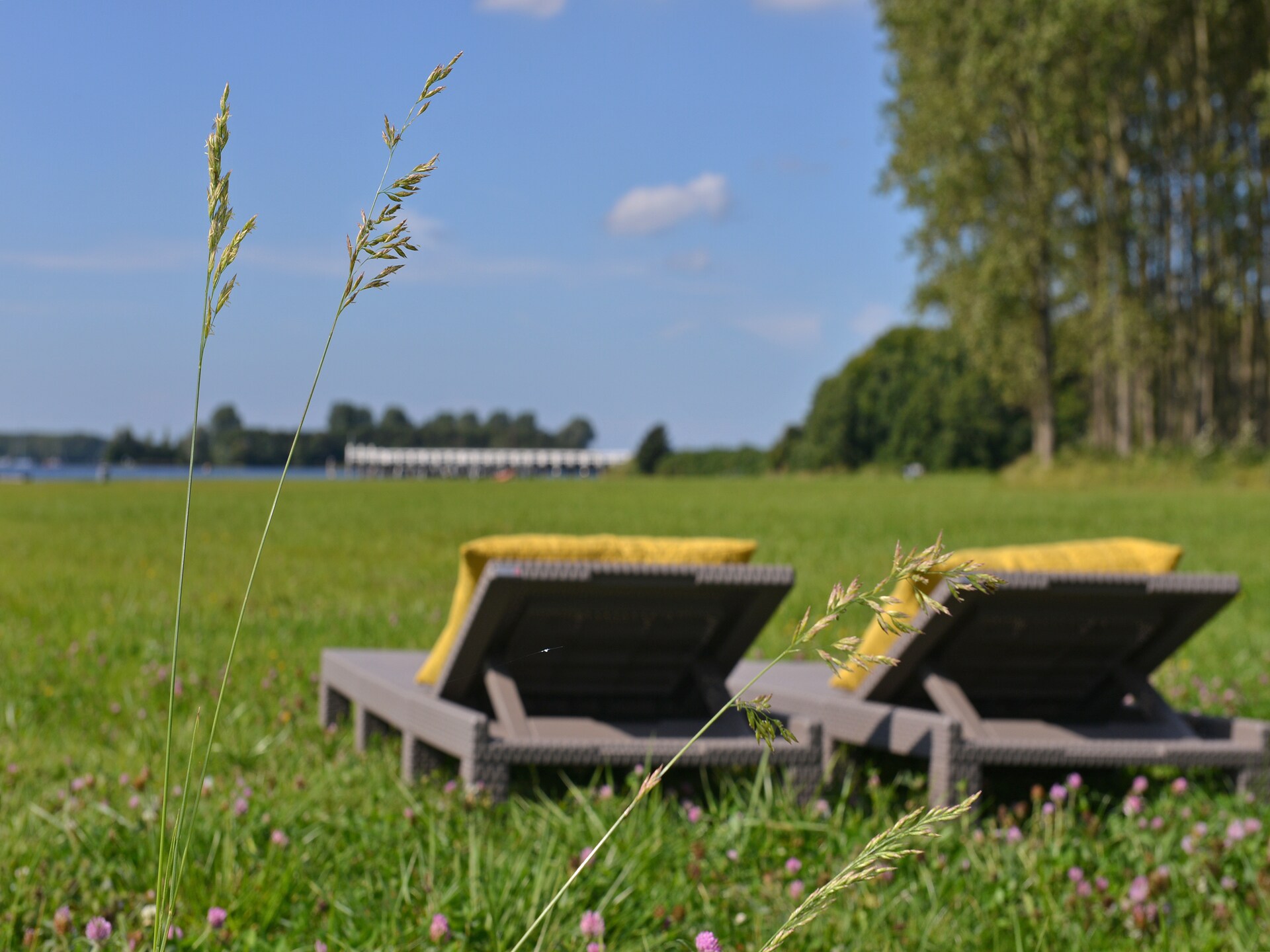 Havenweg 12: Vakantiehuis aan het meer in Kamperland met privésteiger - foto 39