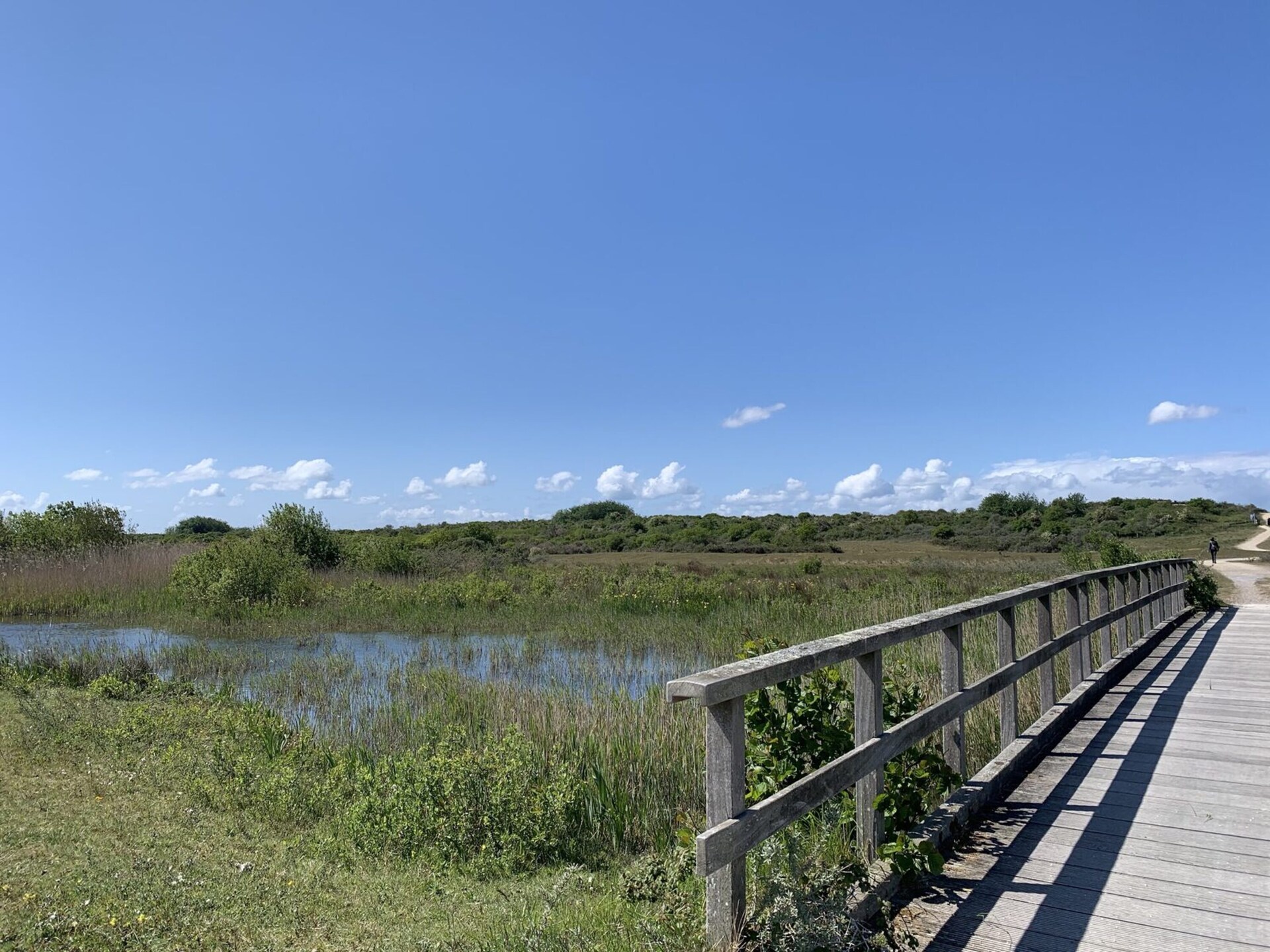 Vrijstaande duinvilla met 2 slaapkamers op Strandpark Duynhille - foto 19