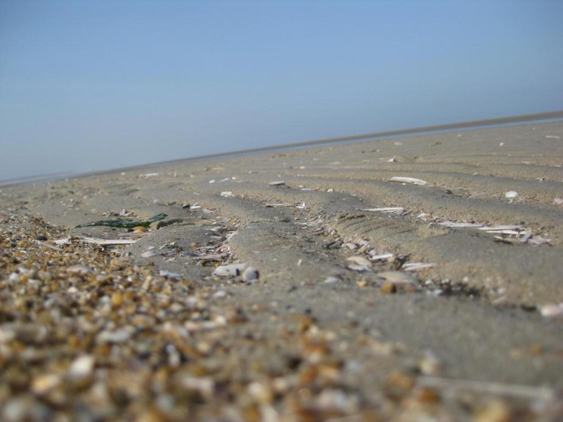 Vrijstaande duinvilla met 2 slaapkamers op Strandpark Duynhille - foto 30