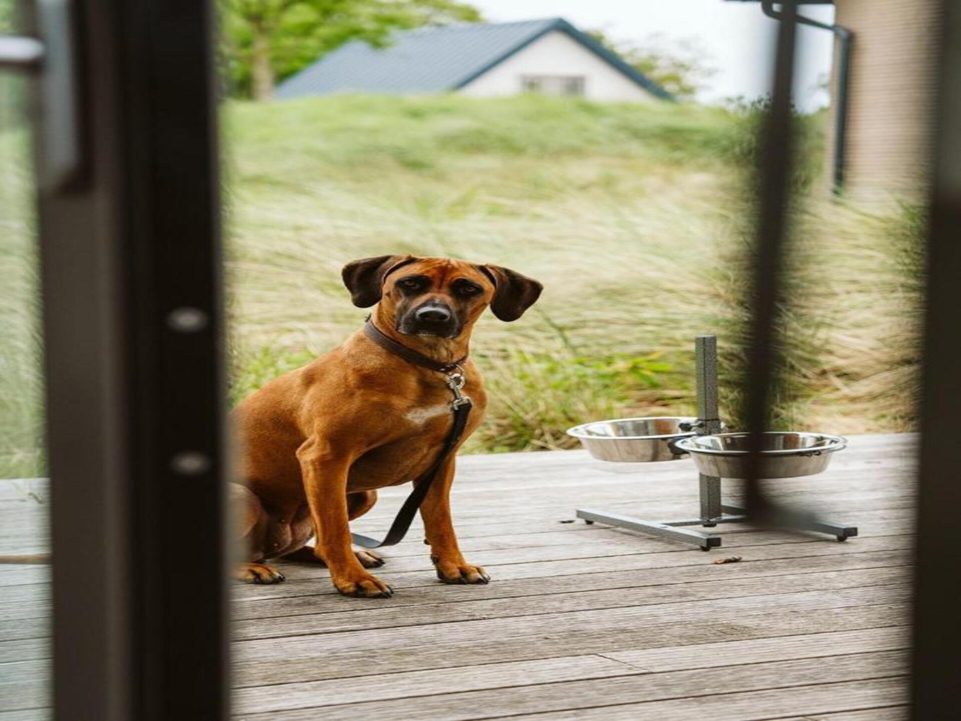 Huisdiervriendelijk vakantiehuis met tuin op Strandpark Duynhille - foto 20