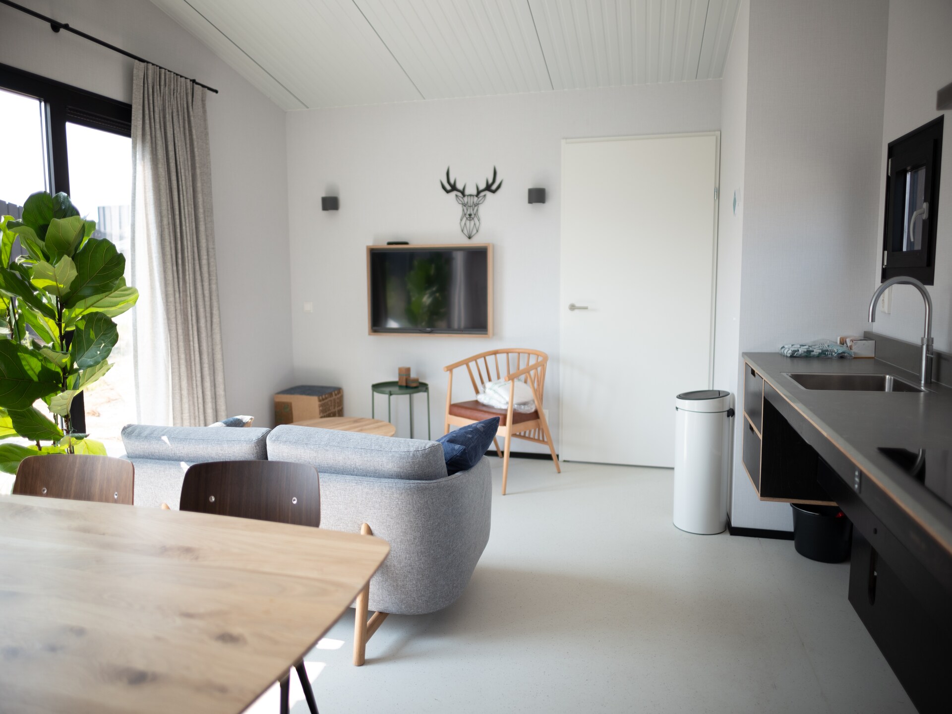 Modern vrijstaand vakantiehuis op 55m² in Zandvoort, honden welkom - foto 3