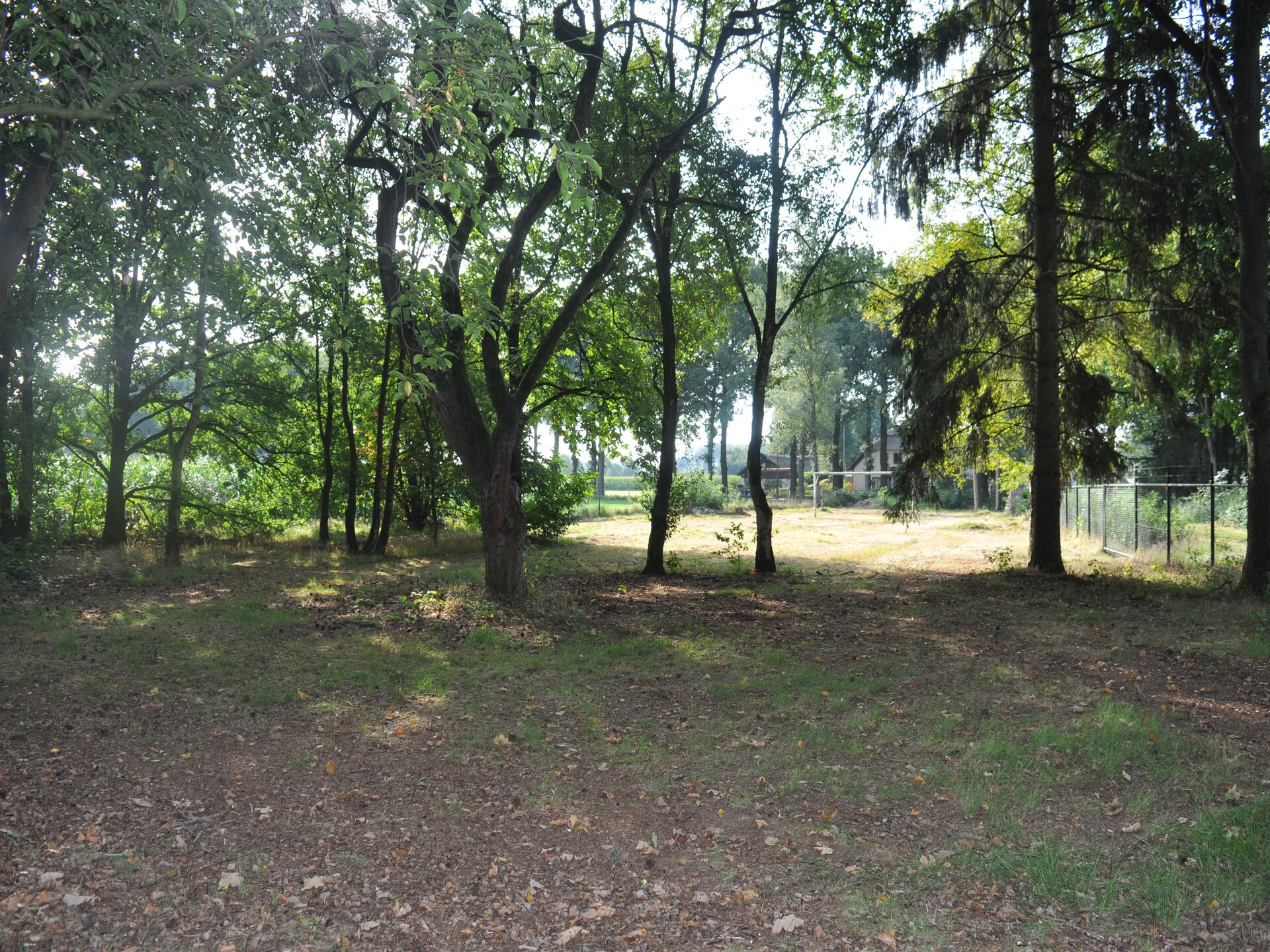 Dorpswoning In het Bos: knus vakantiehuis in hartje Brabantse natuur - foto 32