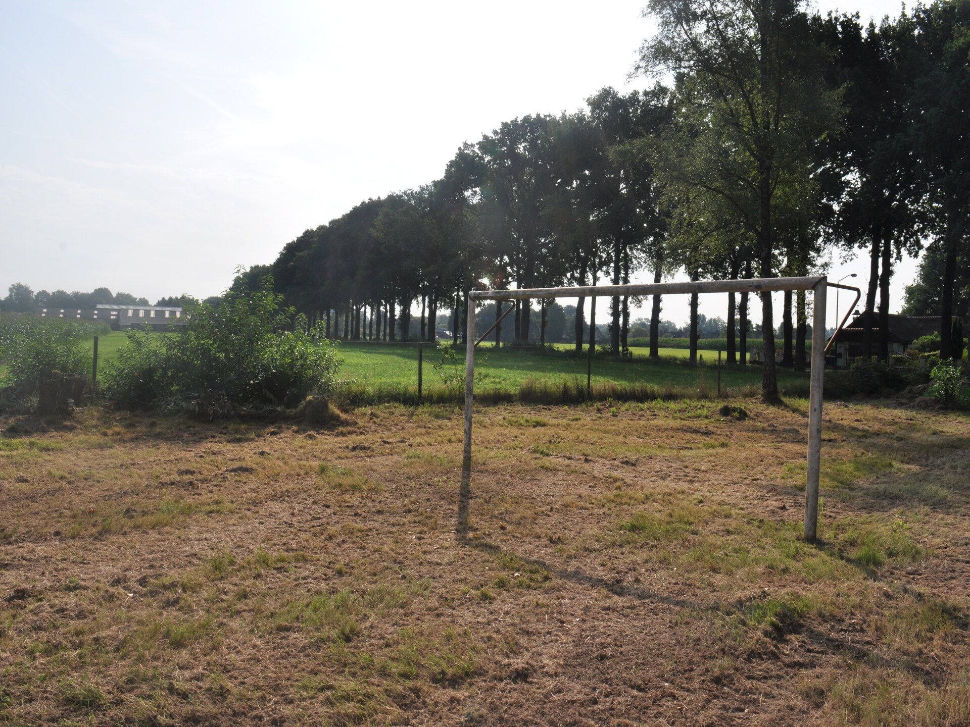 Dorpswoning In het Bos: knus vakantiehuis in hartje Brabantse natuur - foto 33
