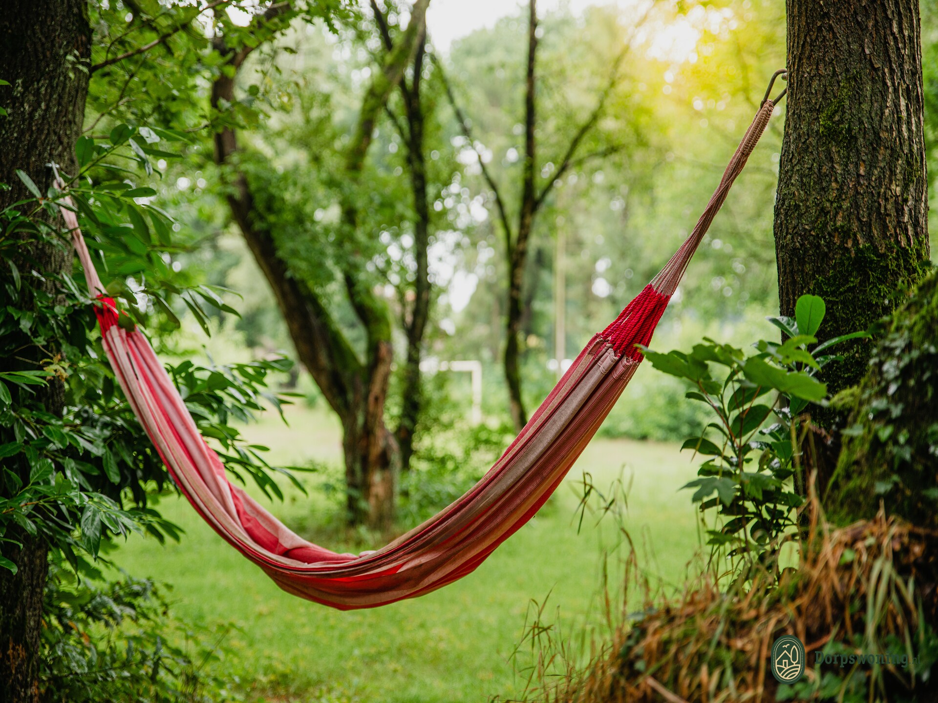 Dorpswoning In het Bos: knus vakantiehuis in hartje Brabantse natuur - foto 7