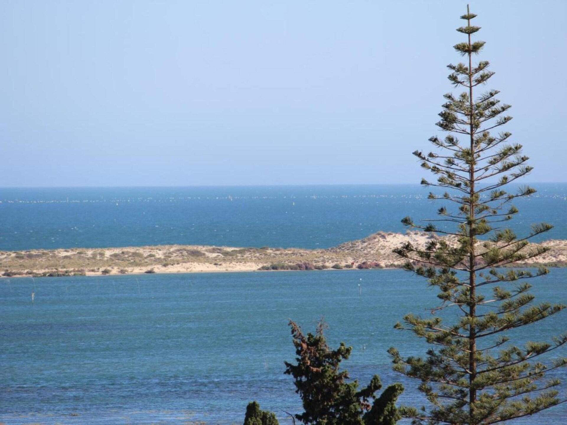 Casinha Grande: Knus verblijf aan de Ria Formosa in Olhão - foto 36