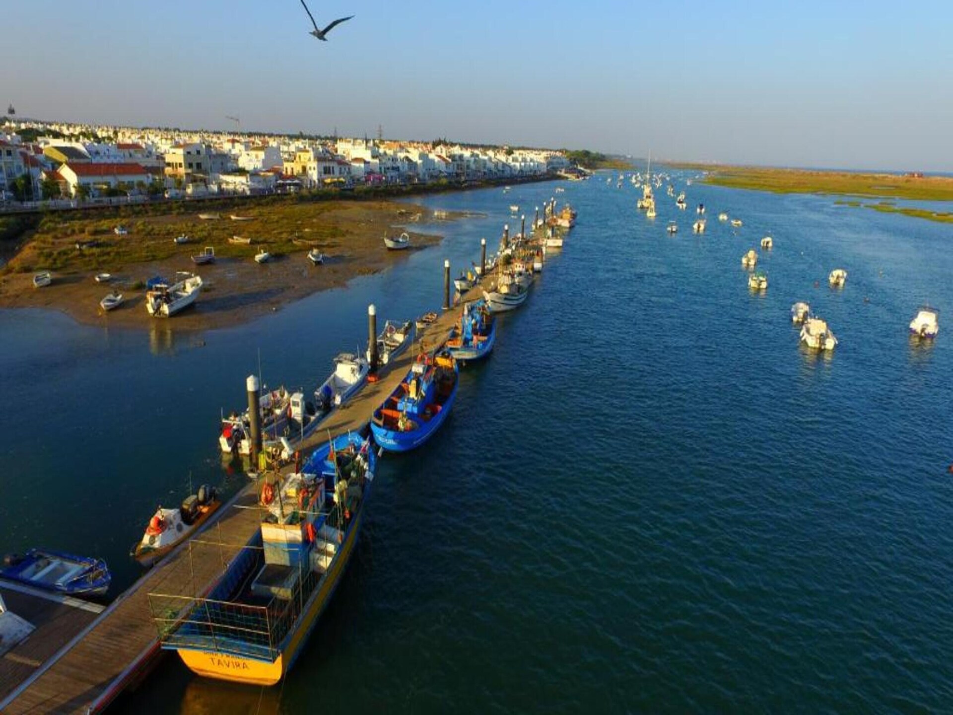 Casinha Grande: Knus verblijf aan de Ria Formosa in Olhão - foto 35