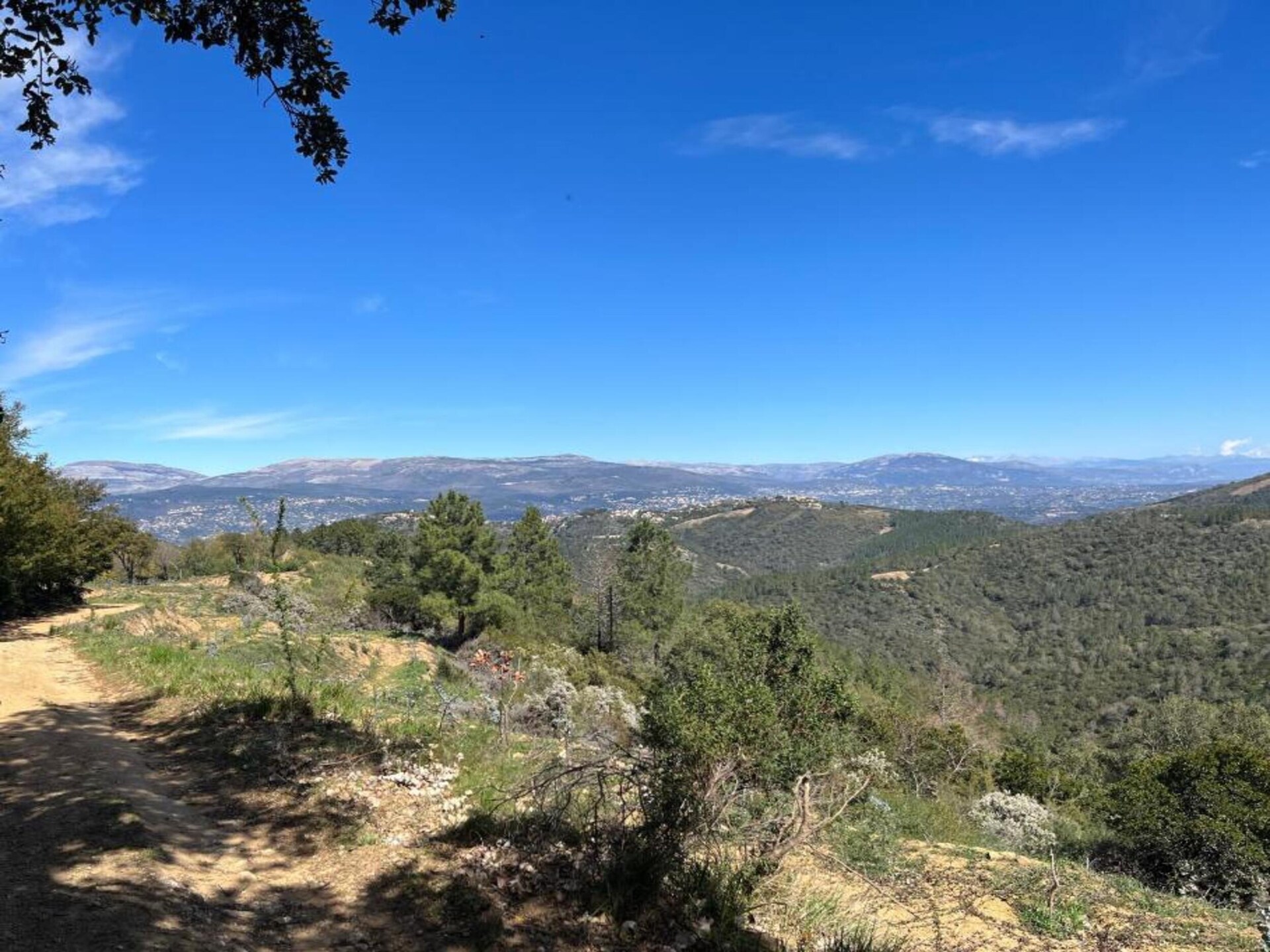 La Bastide des Chênes 1: Authentiek Provençaals vakantiehuis in Gordes - foto 32