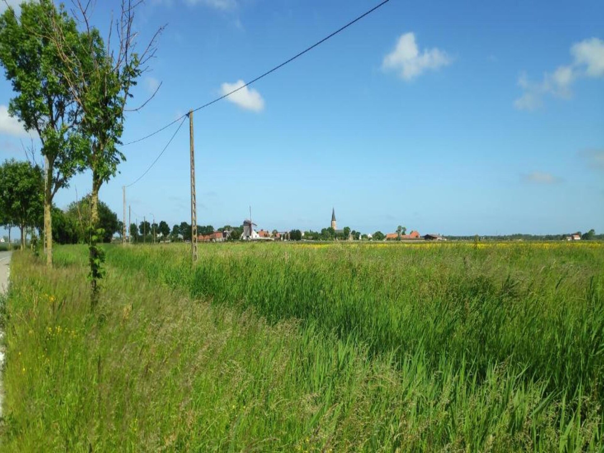 Lichte bungalow voor 4 met tuin en wifi, vlakbij strand Bredene - foto 38