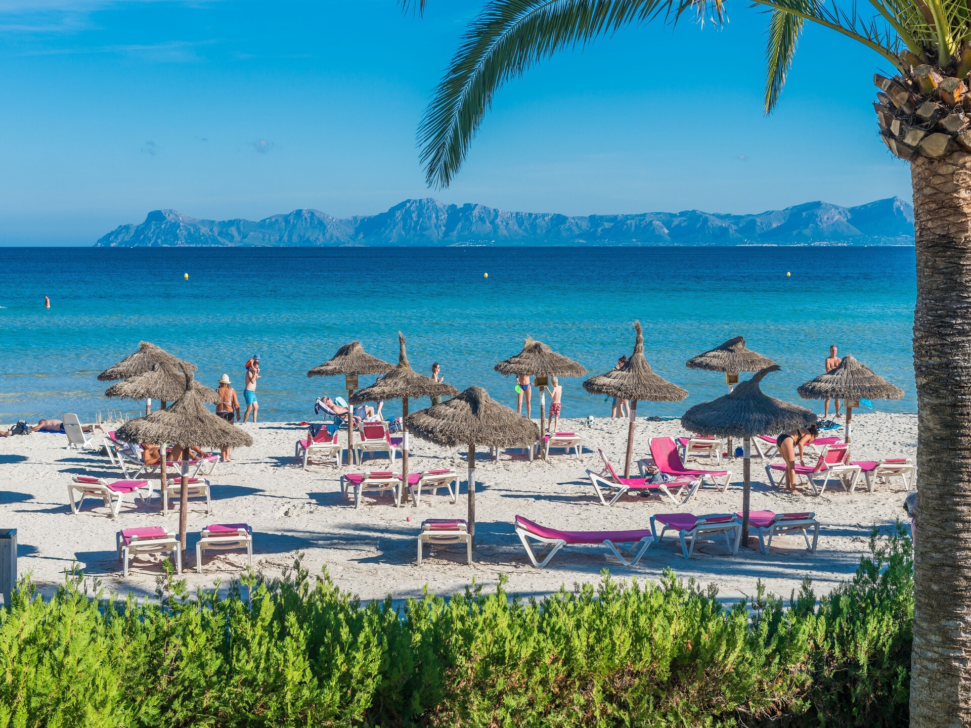 Appartement Bon Estar: Zeezicht & strand op 100m in Port d'Alcúdia - foto 41