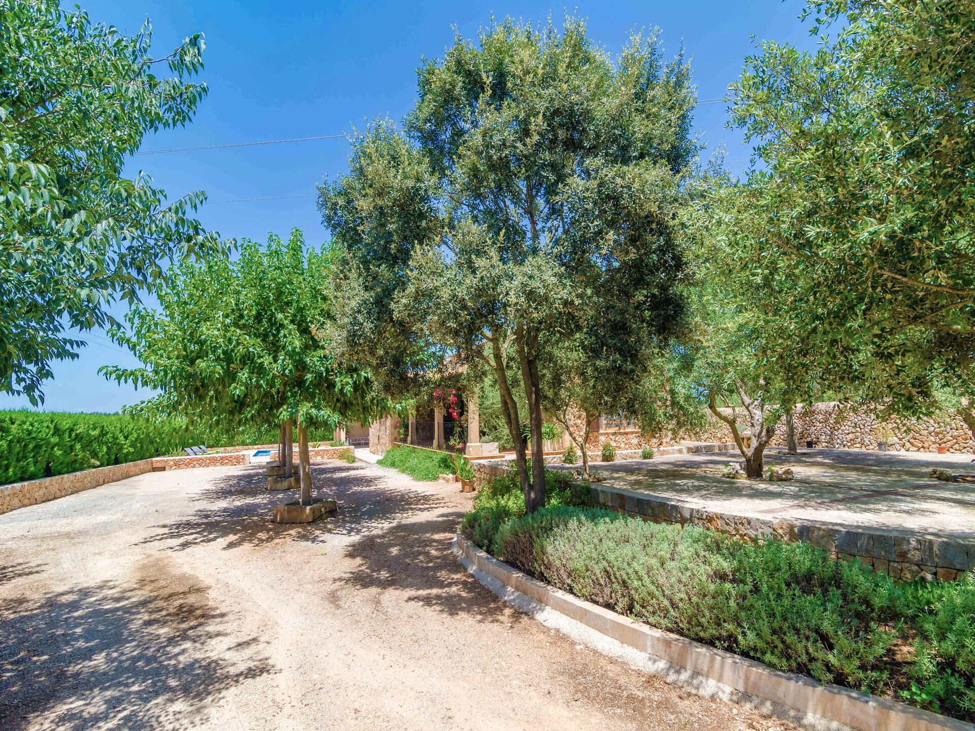 Villa Aubadallet in Vilafranca met privézwembad voor 4 personen - foto 24
