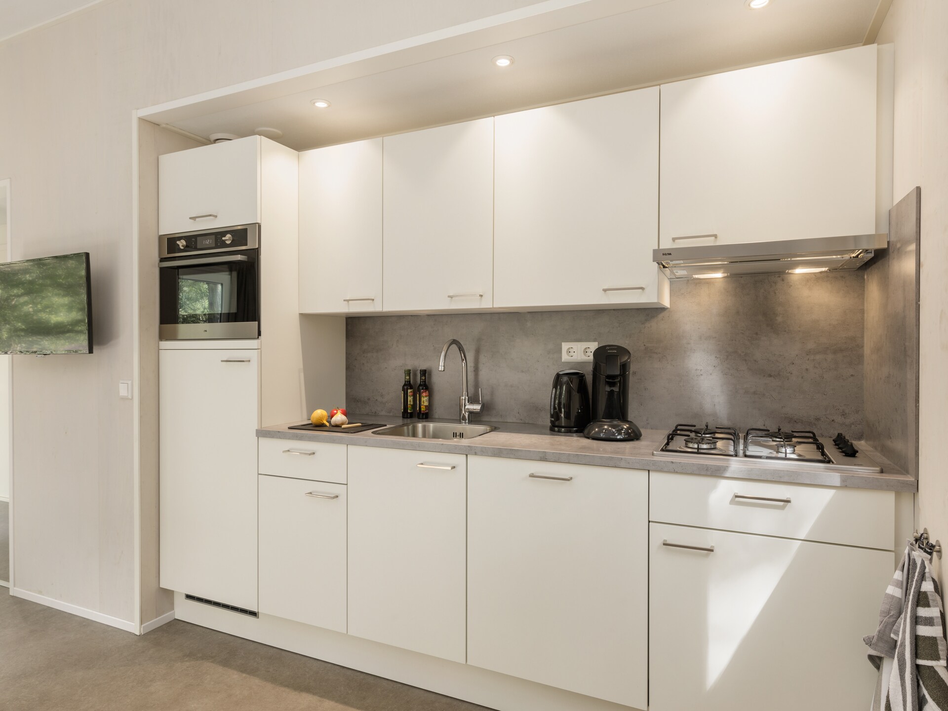 Modern chalet met wellnessoptie op hondvriendelijk Vakantiepark Kijkduin - foto 4