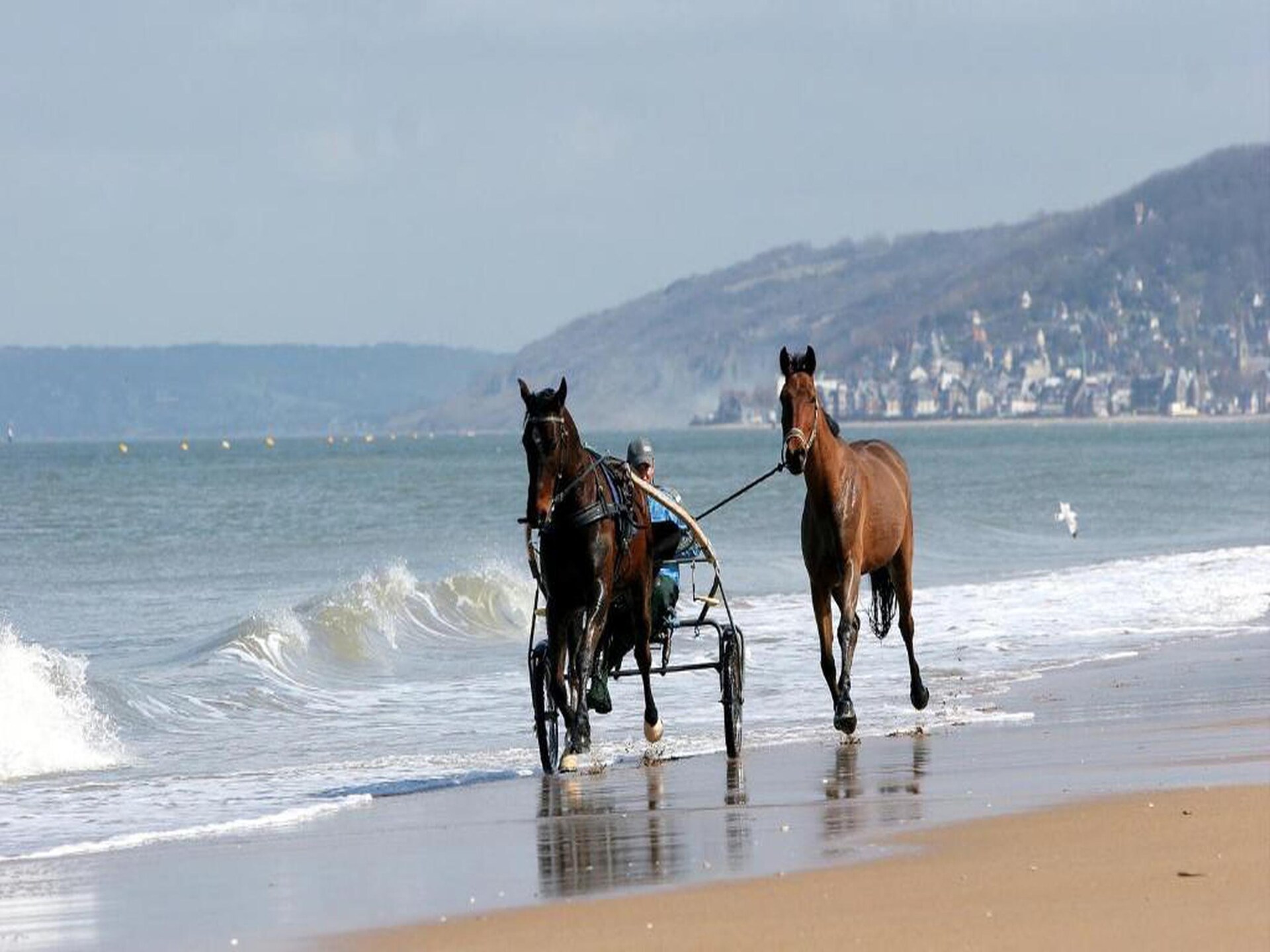 Duplex voor 6 personen met zwembad en balkon, op loopafstand van het strand in Cabourg - foto 30