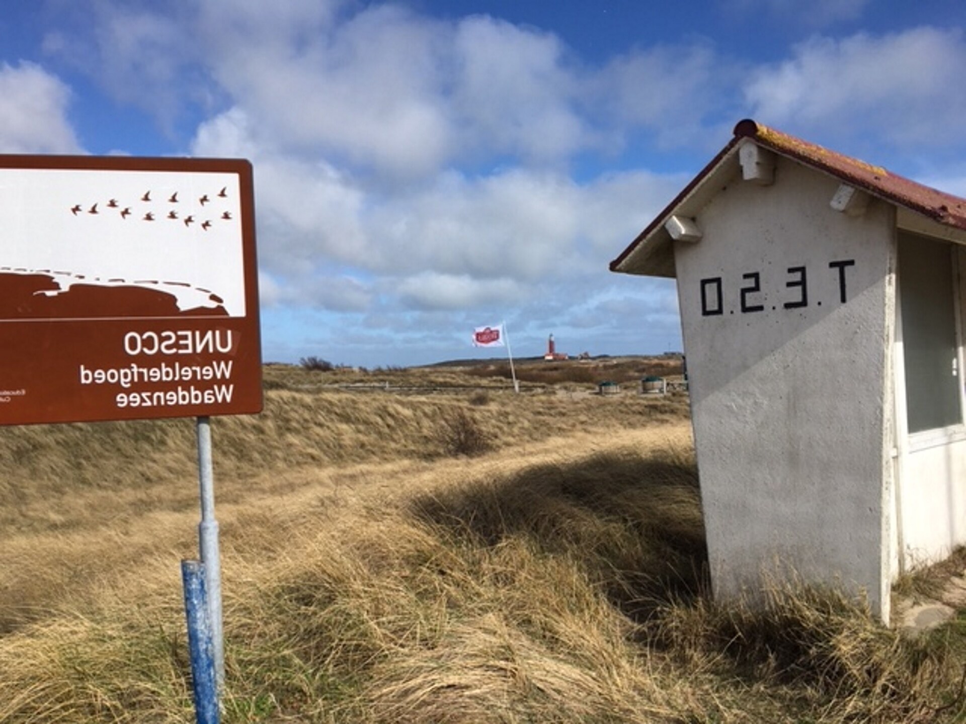 Authentieke boerderijwoning bij Krimbos en golfbaan op Texel - foto 21