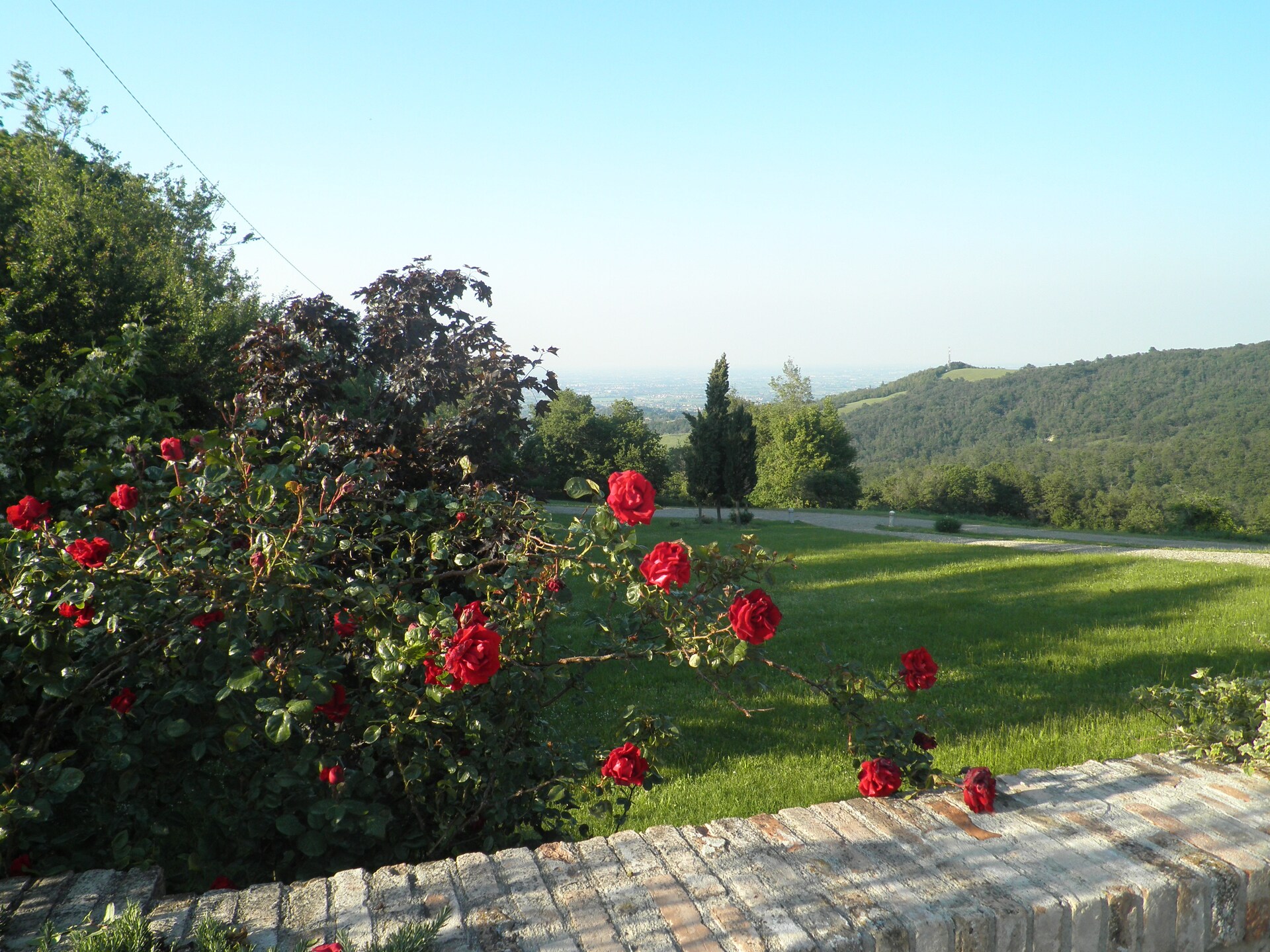 Authentiek appartement op Toscaans-Emiliaanse boerderij met bos, golf en balsamico-traditie - foto 14
