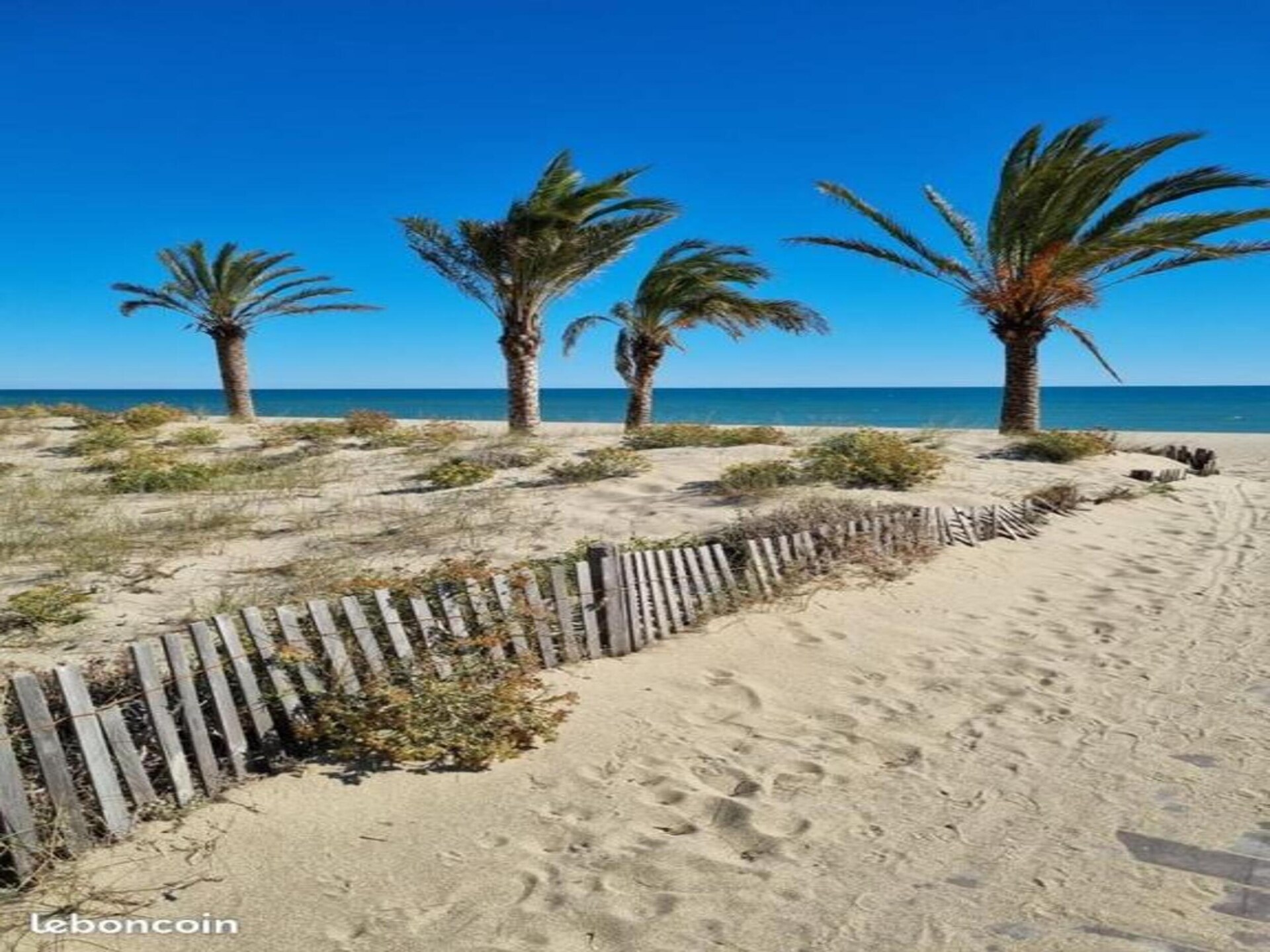 Knus appartement op 100 meter van het strand in Le Barcarès - foto 23