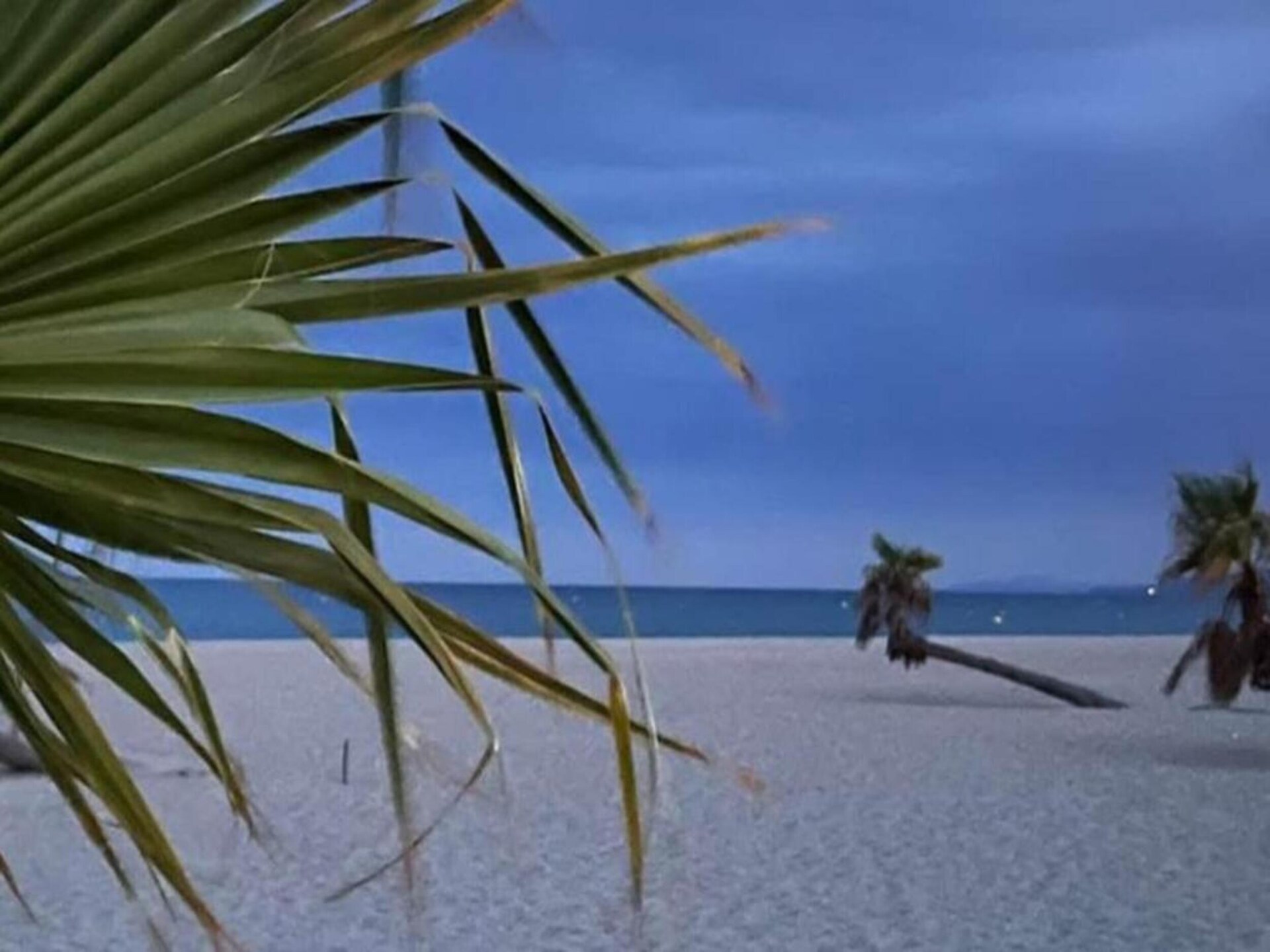 Knus appartement op 100 meter van het strand in Le Barcarès - foto 31
