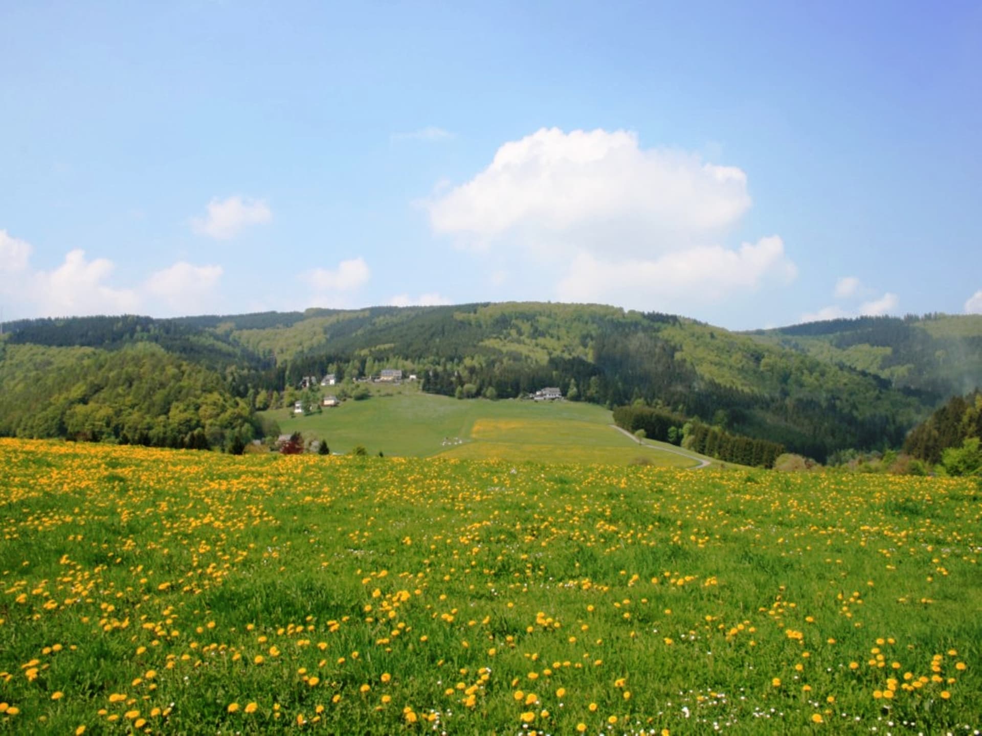 Centraal gelegen appartement Am Iberg in Willingen voor 6 personen - foto 23