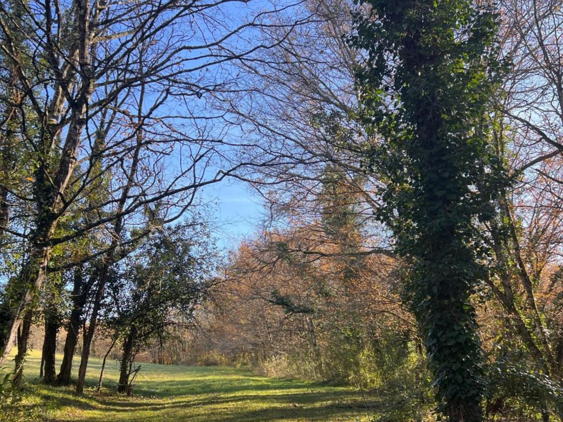 Knus vakantiehuis voor 6 met privétuin aan de rand van middeleeuws Sarlat - foto 28