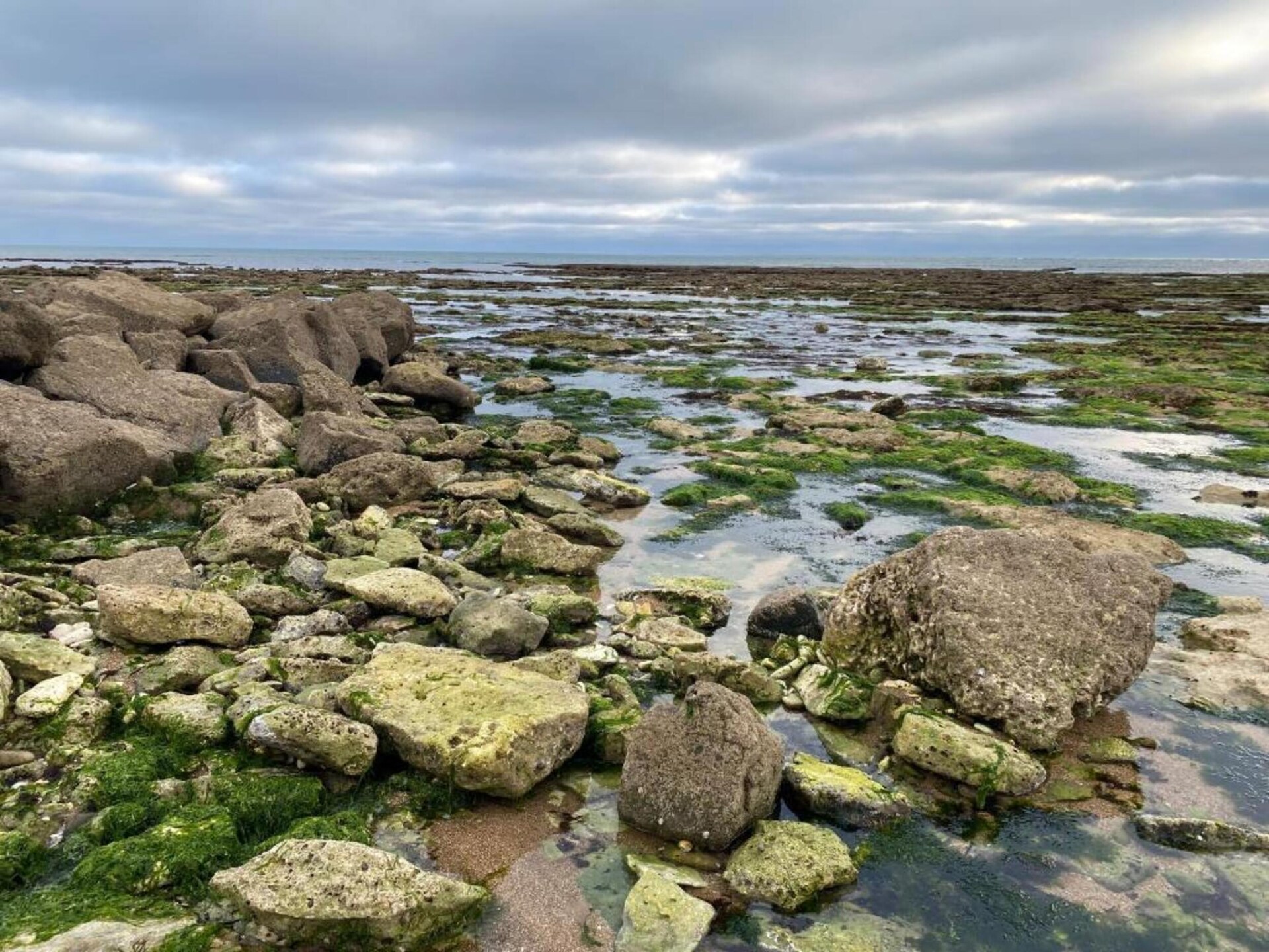 Knus vakantiehuis voor 8 op Île d'Oléron met tuin en zwembad - foto 23