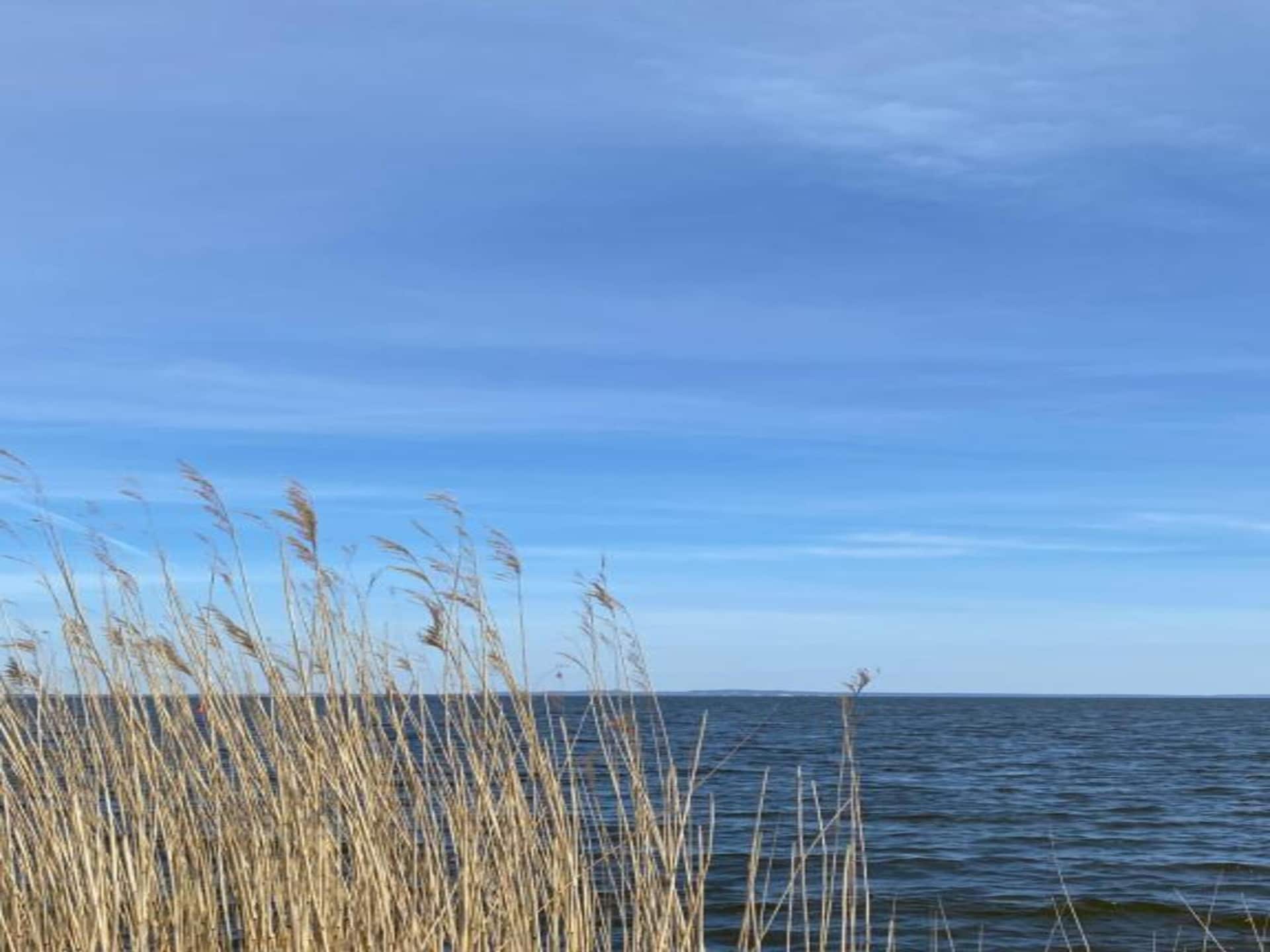 Rustig vakantiehuis in Ahlbeck voor 5 personen - foto 31