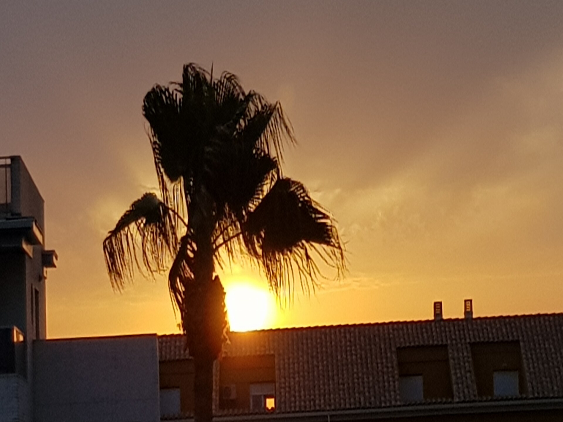 Luxe appartement in Denia met tuin, dakterras en zwembad, 300m van strand - foto 26
