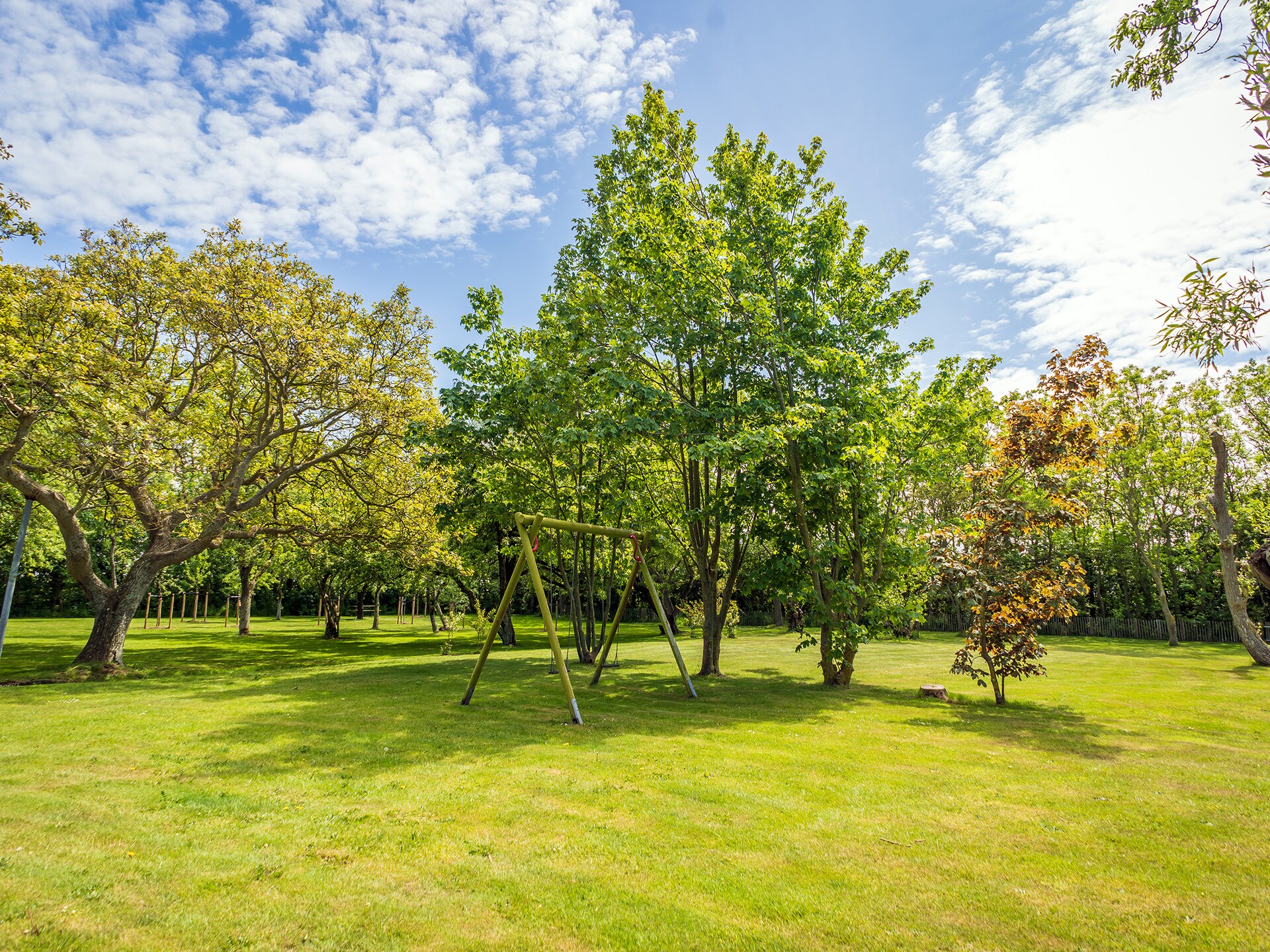 Romantisch appartement op boerderij bij Krimbosbos en golfbaan Texel - foto 23