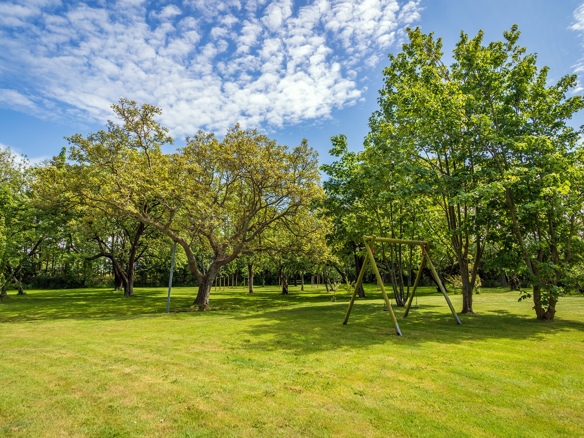 Romantisch appartement op boerderij bij Krimbosbos en golfbaan Texel - foto 24
