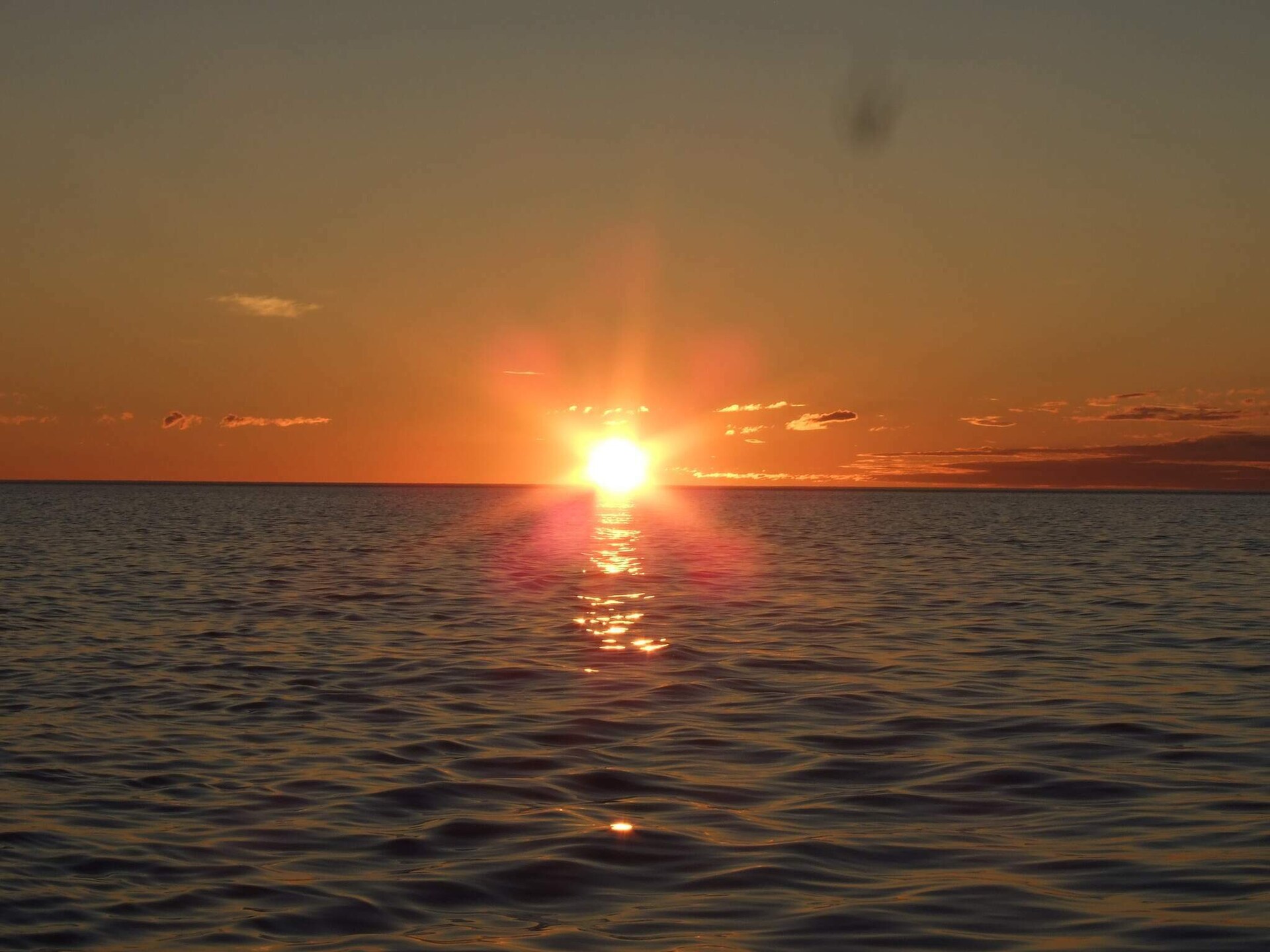 Authentieke vissershut aan zee op Rebbenesøya – Noorderlicht en wereldvisserij - foto 24