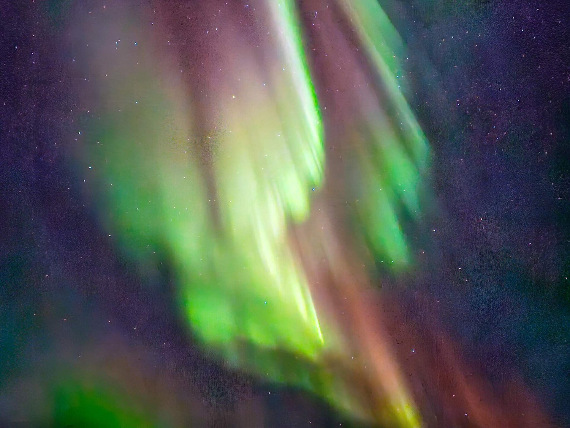 Authentieke vissershut aan zee op Rebbenesøya – Noorderlicht en wereldvisserij - foto 11