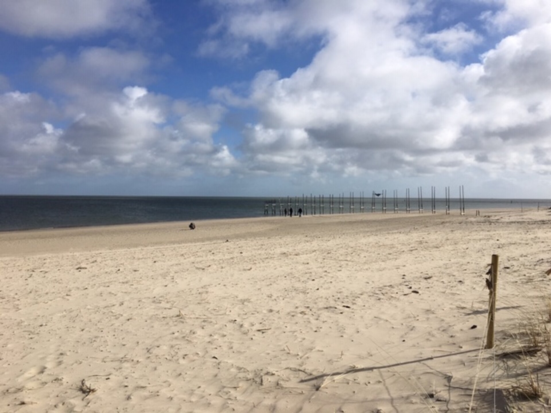Knus appartement op paardenboerderij bij De Cocksdorp, Texel - foto 8