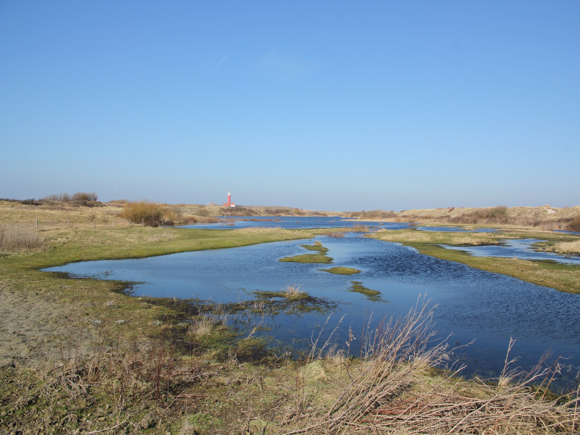 Knus appartement op paardenboerderij bij De Cocksdorp, Texel - foto 11