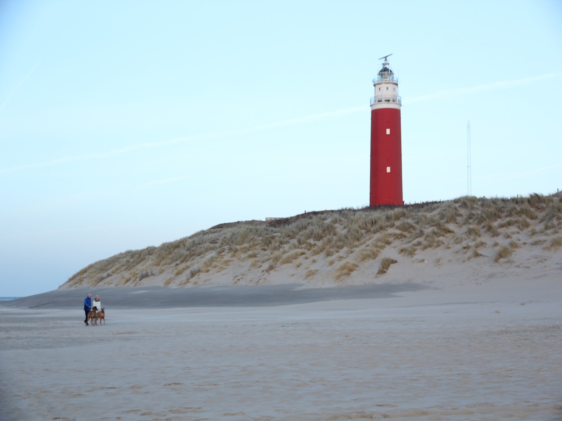 Knus appartement op paardenboerderij bij De Cocksdorp, Texel - foto 12