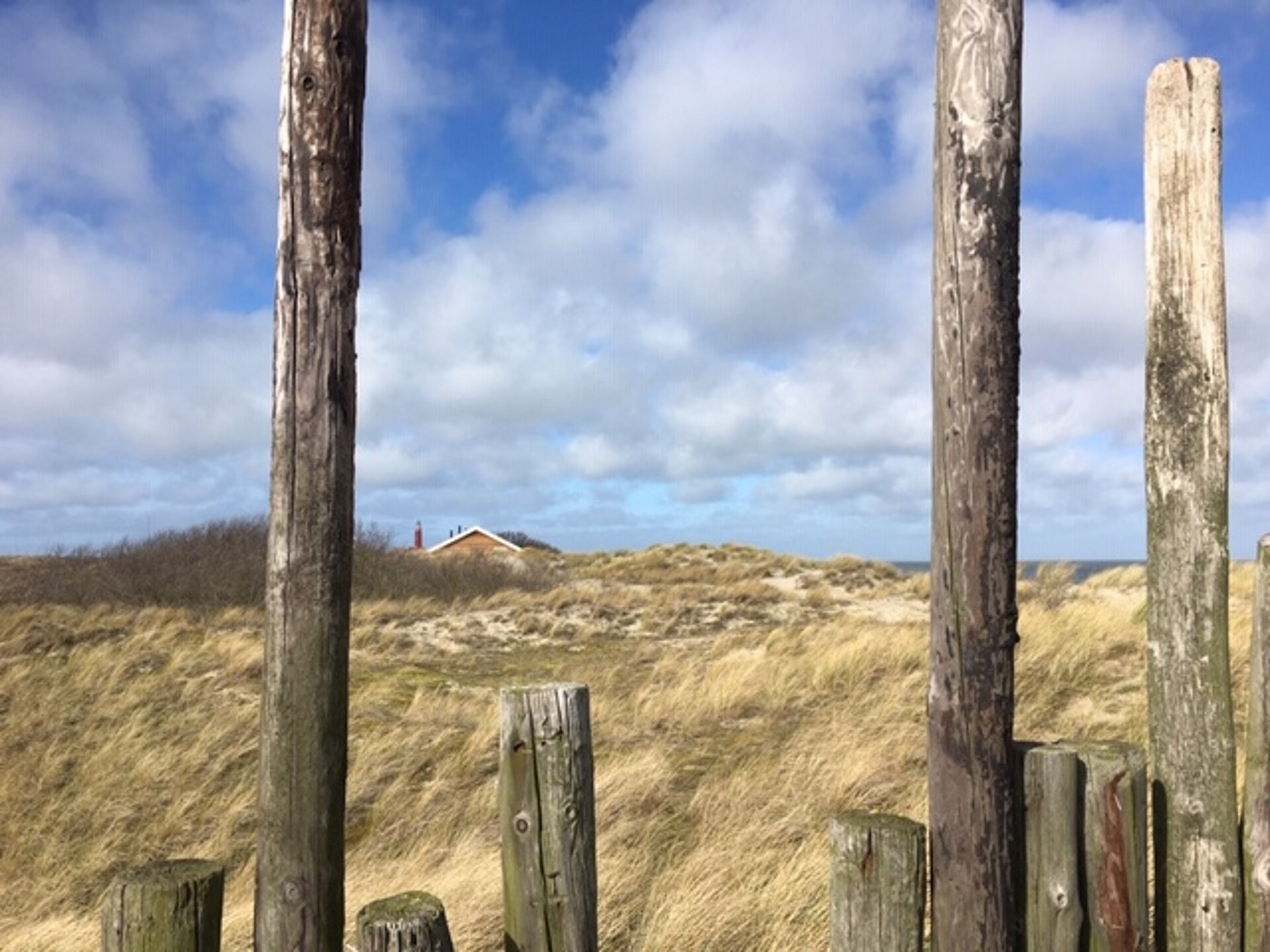 Knus appartement op paardenboerderij bij De Cocksdorp, Texel - foto 10