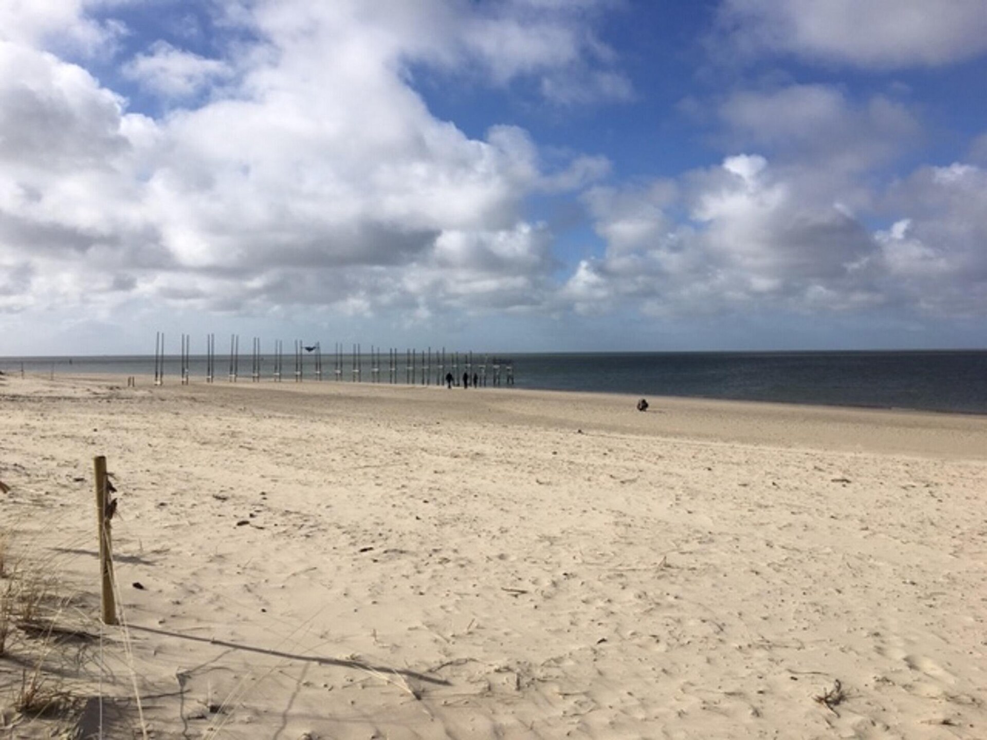 Knus appartement op paardenboerderij bij De Cocksdorp, Texel - foto 13