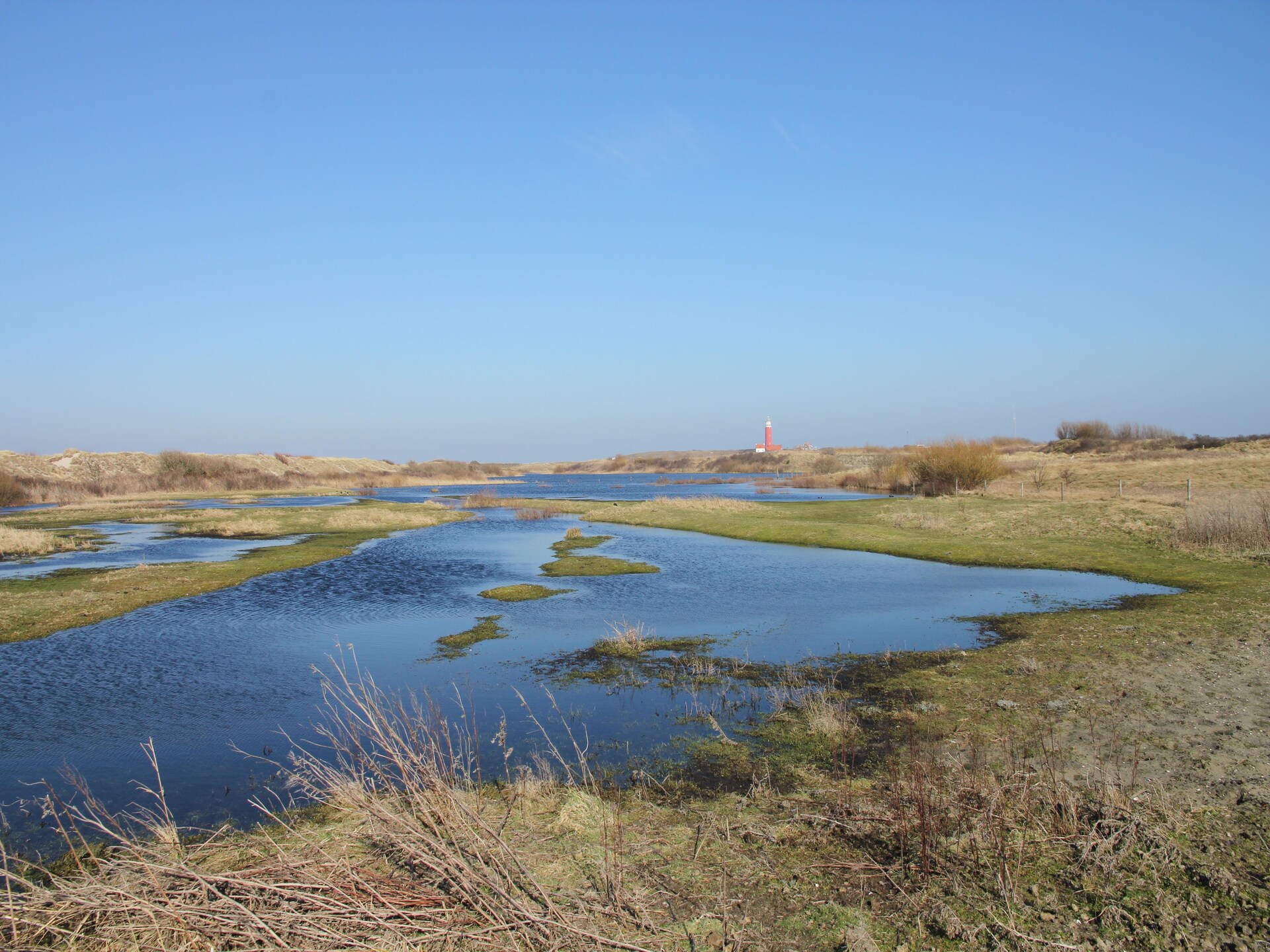 Knus appartement op paardenboerderij bij De Cocksdorp, Texel - foto 22