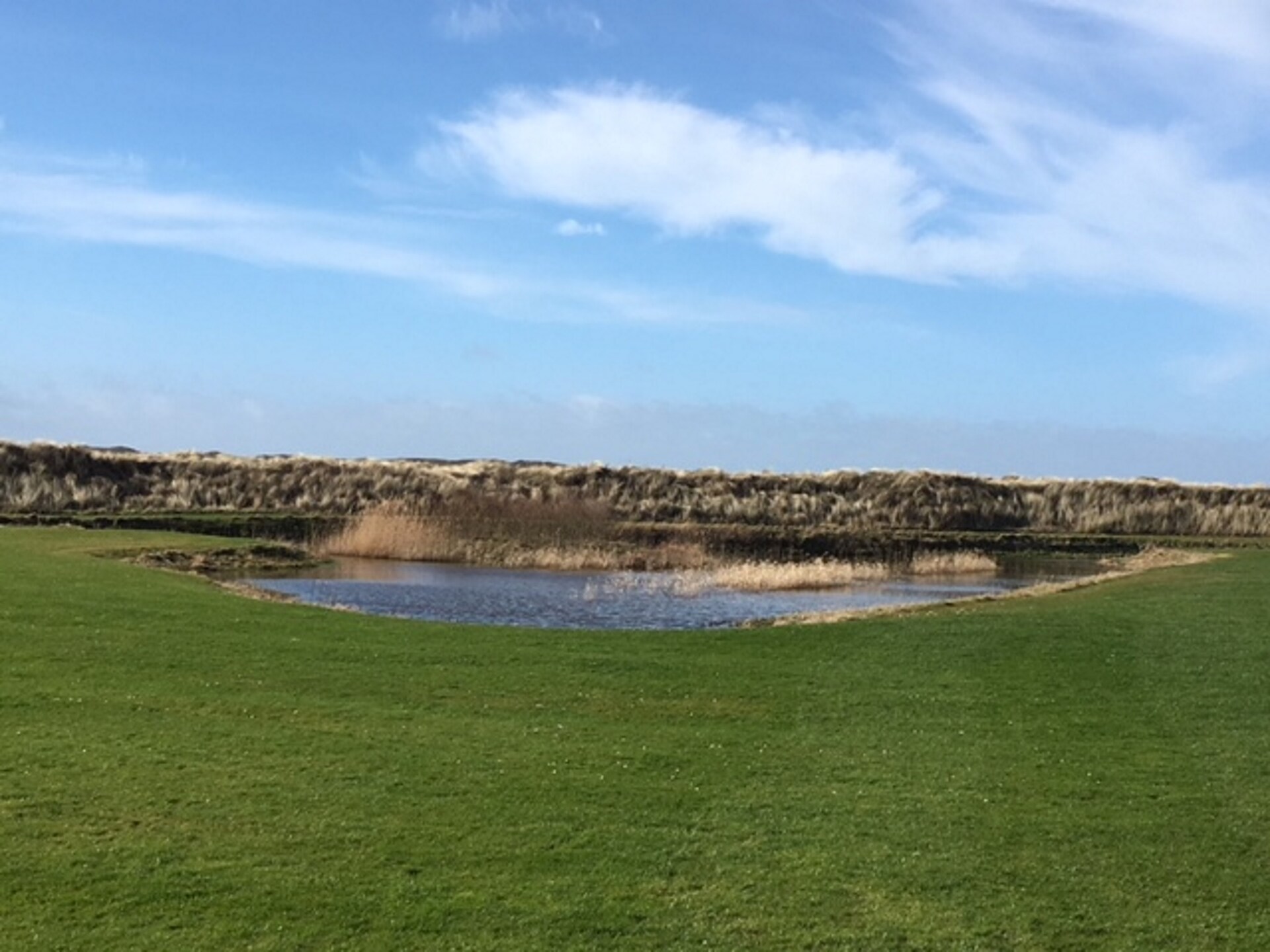 Bungalow Roggesloot A-8a: rustig vakantiehuis bij bos en golfbaan - foto 19