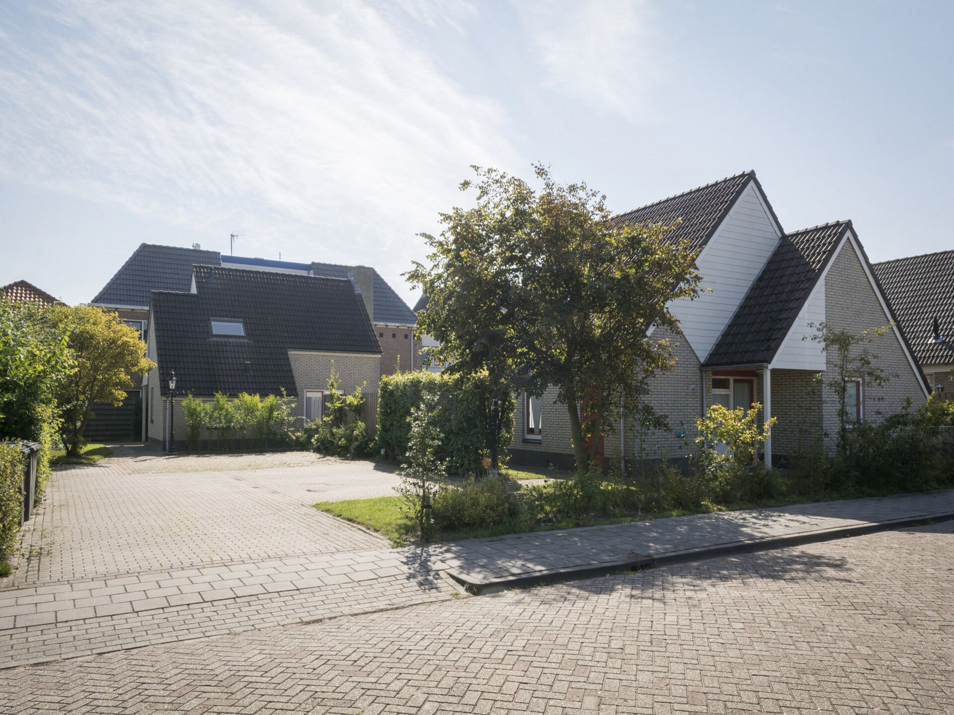 Vrijstaande bosbungalow bij golfbaan, 50m van centrum De Cocksdorp - foto 2