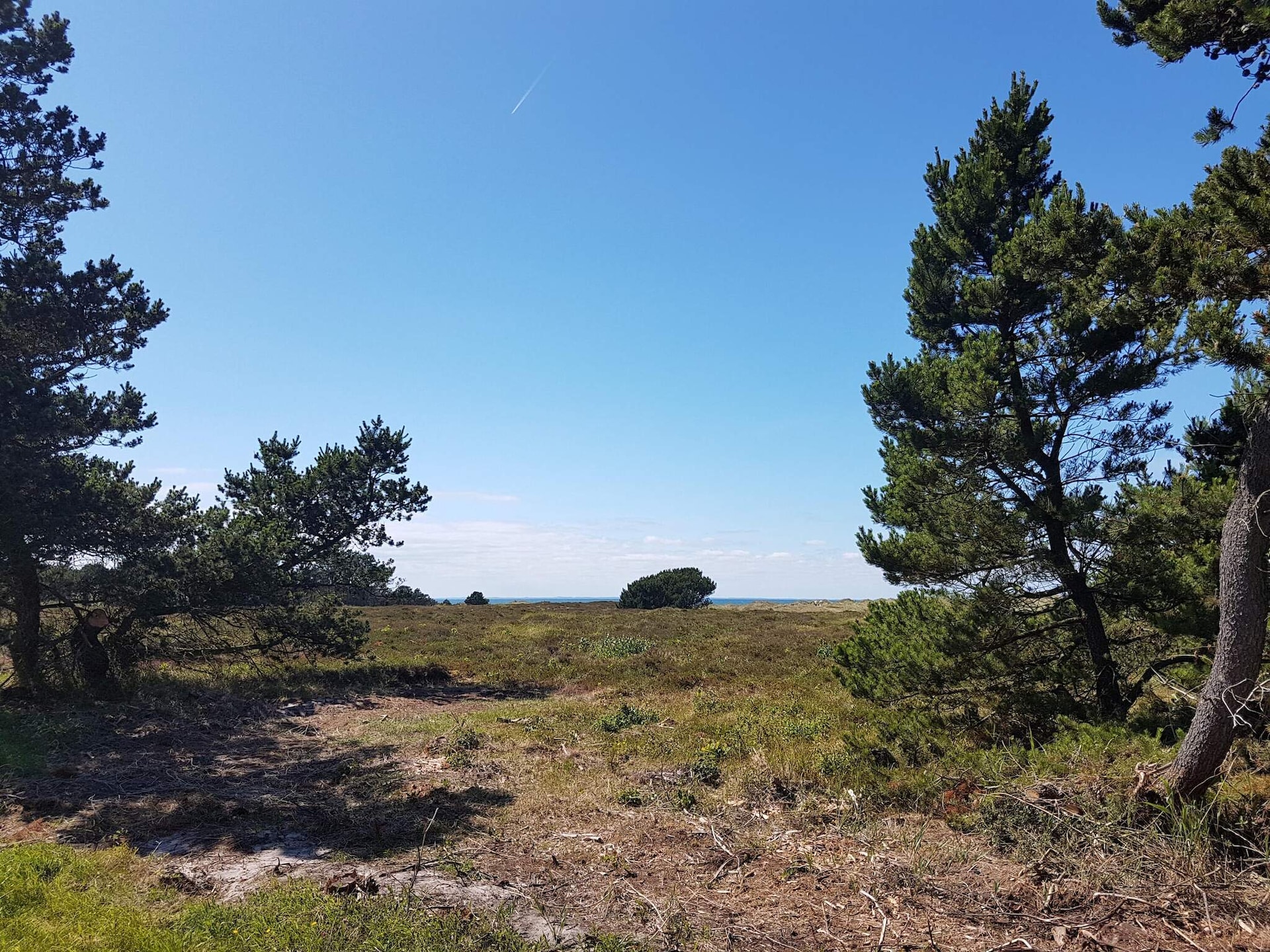 Vrijstaand huis met sauna op Læsø, 4,5 km van zee - foto 5