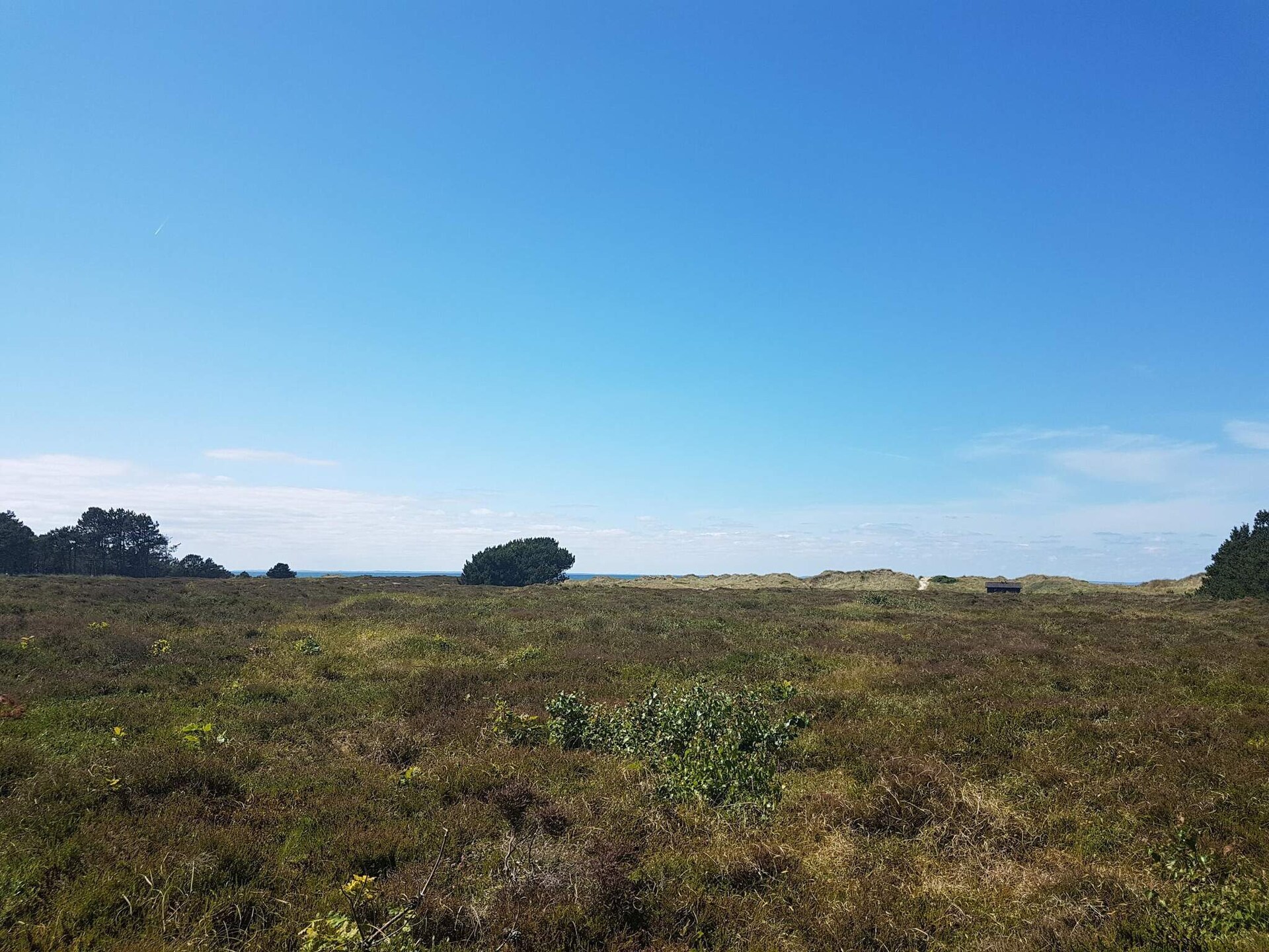 Vrijstaand huis met sauna op Læsø, 4,5 km van zee - foto 6