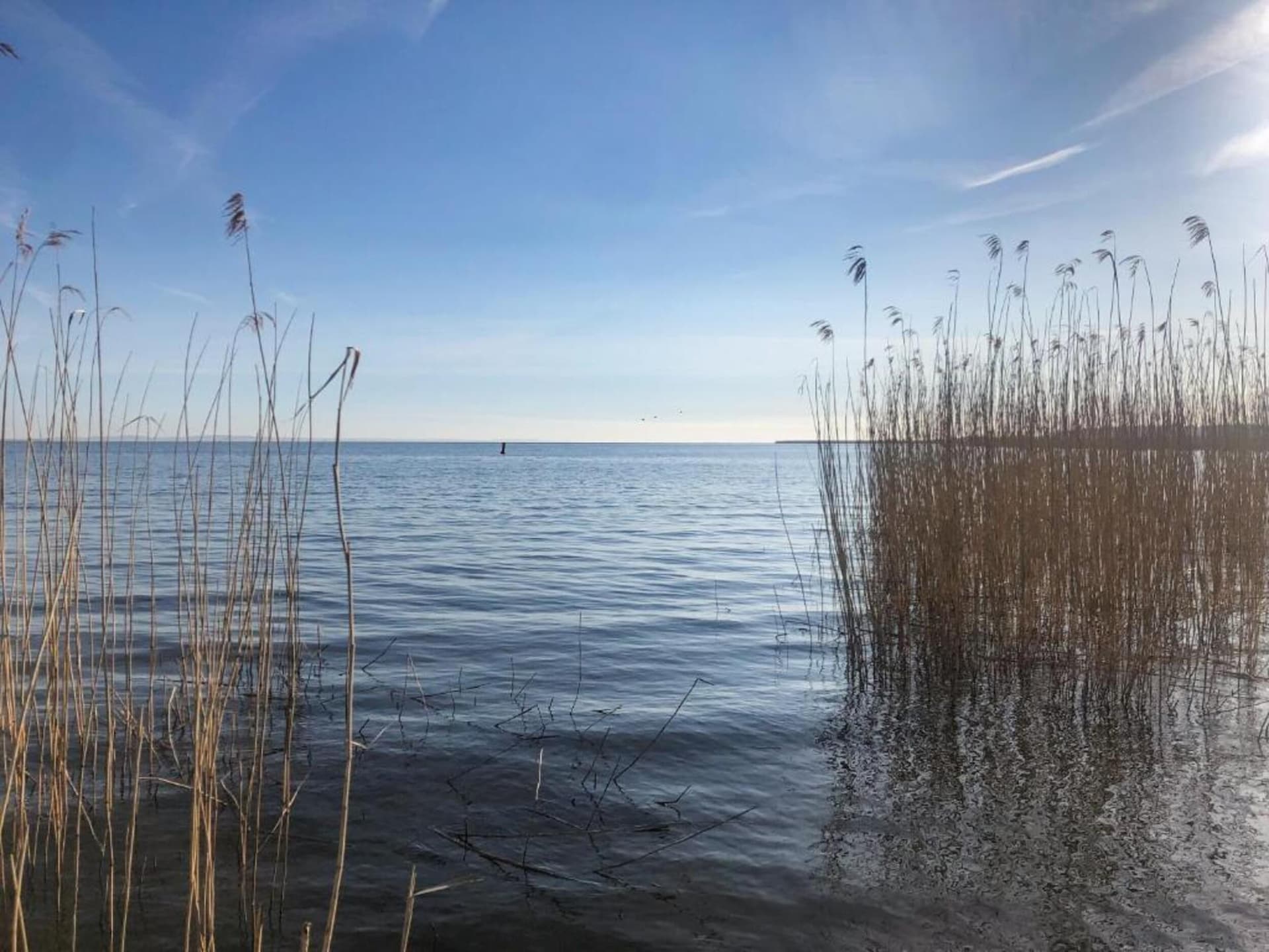 Sfeervol vakantiehuis met rietdak in Ahlbeck voor 4 personen - foto 24