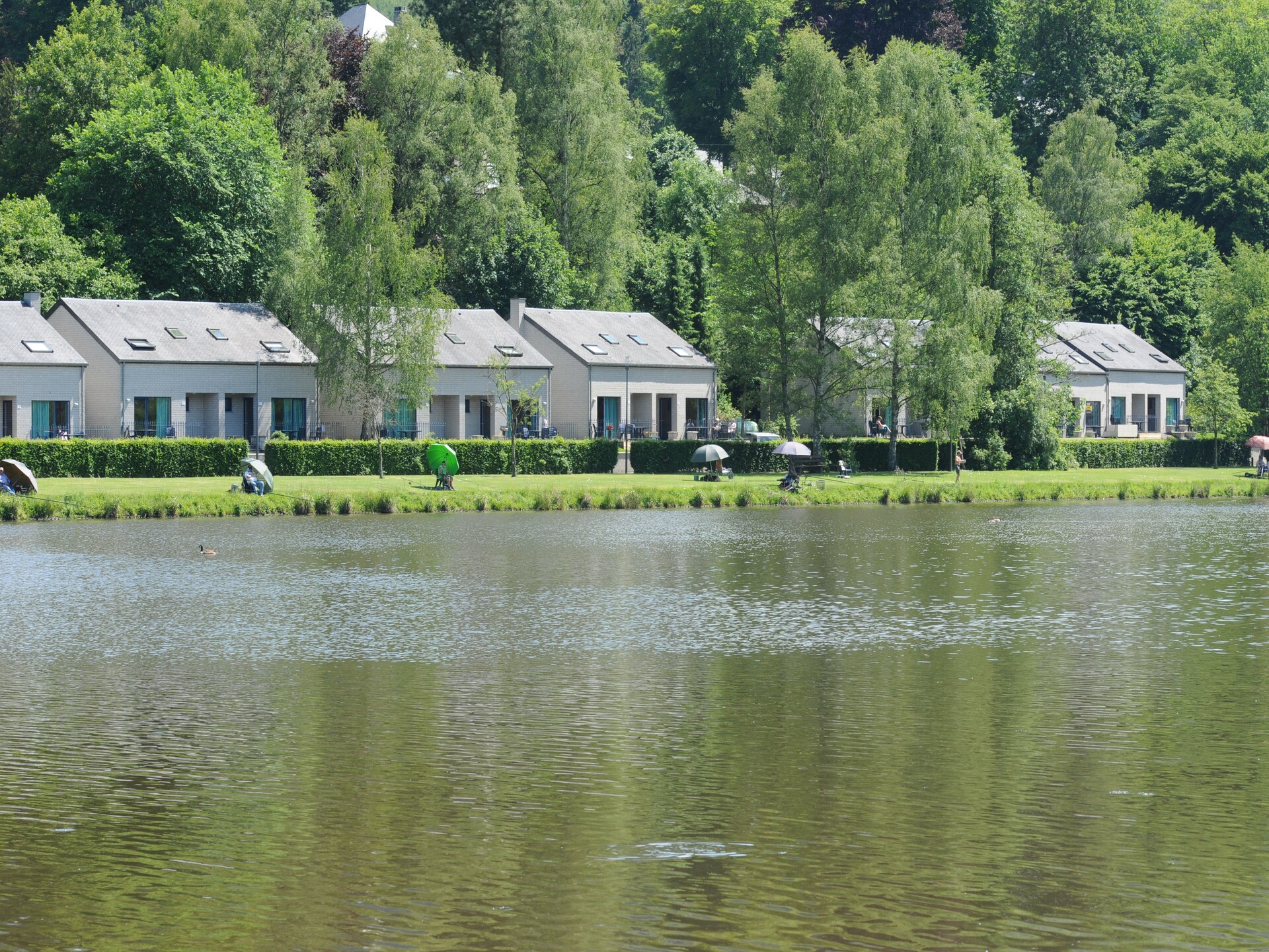 8-persoons vakantiehuis aan het meer in Vielsalm met privéterras - foto 12