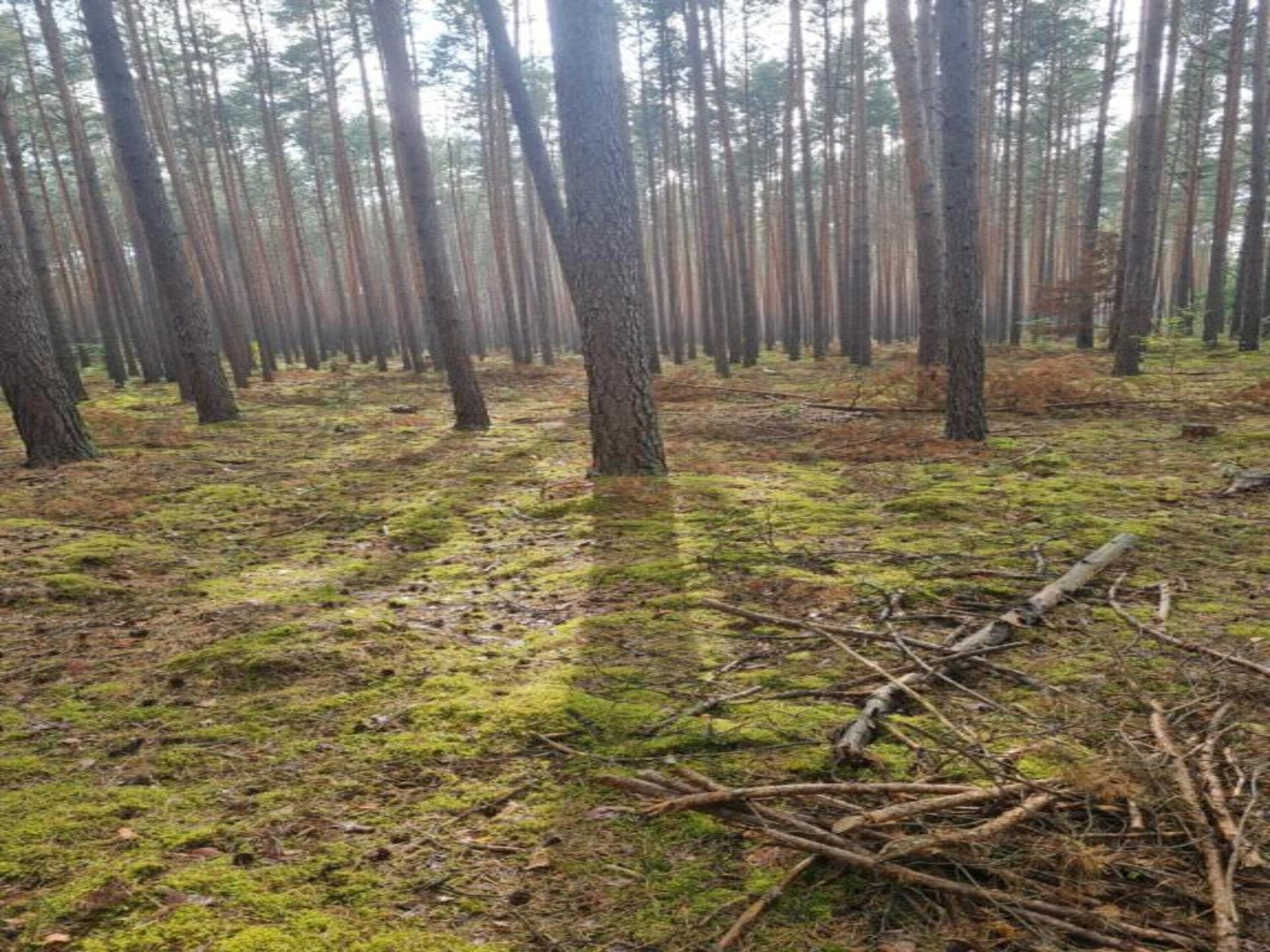 Centraal gelegen vakantiehuis aan het meer in Lubrza - foto 26