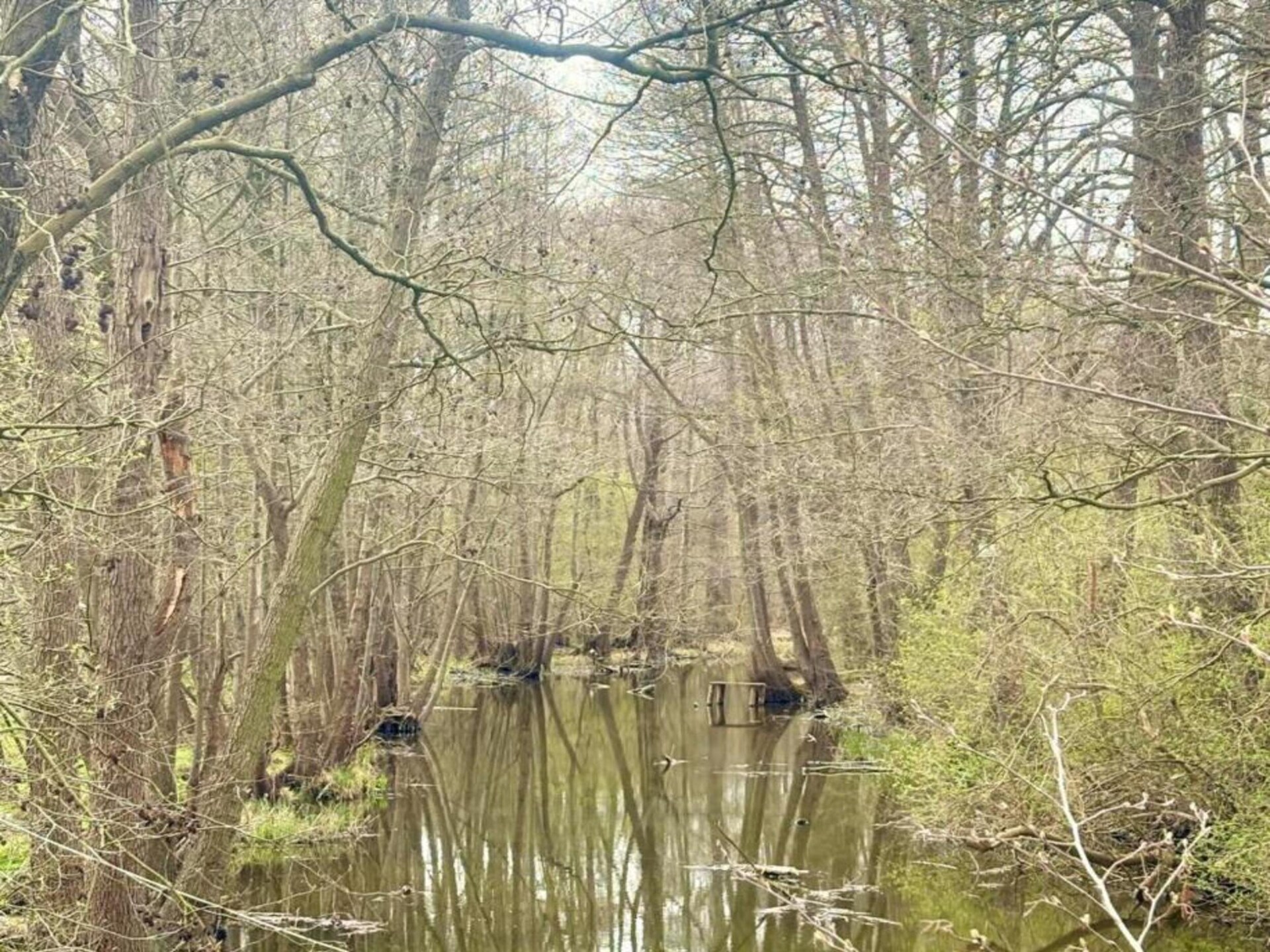 Centraal gelegen vakantiehuis aan het meer in Lubrza - foto 34