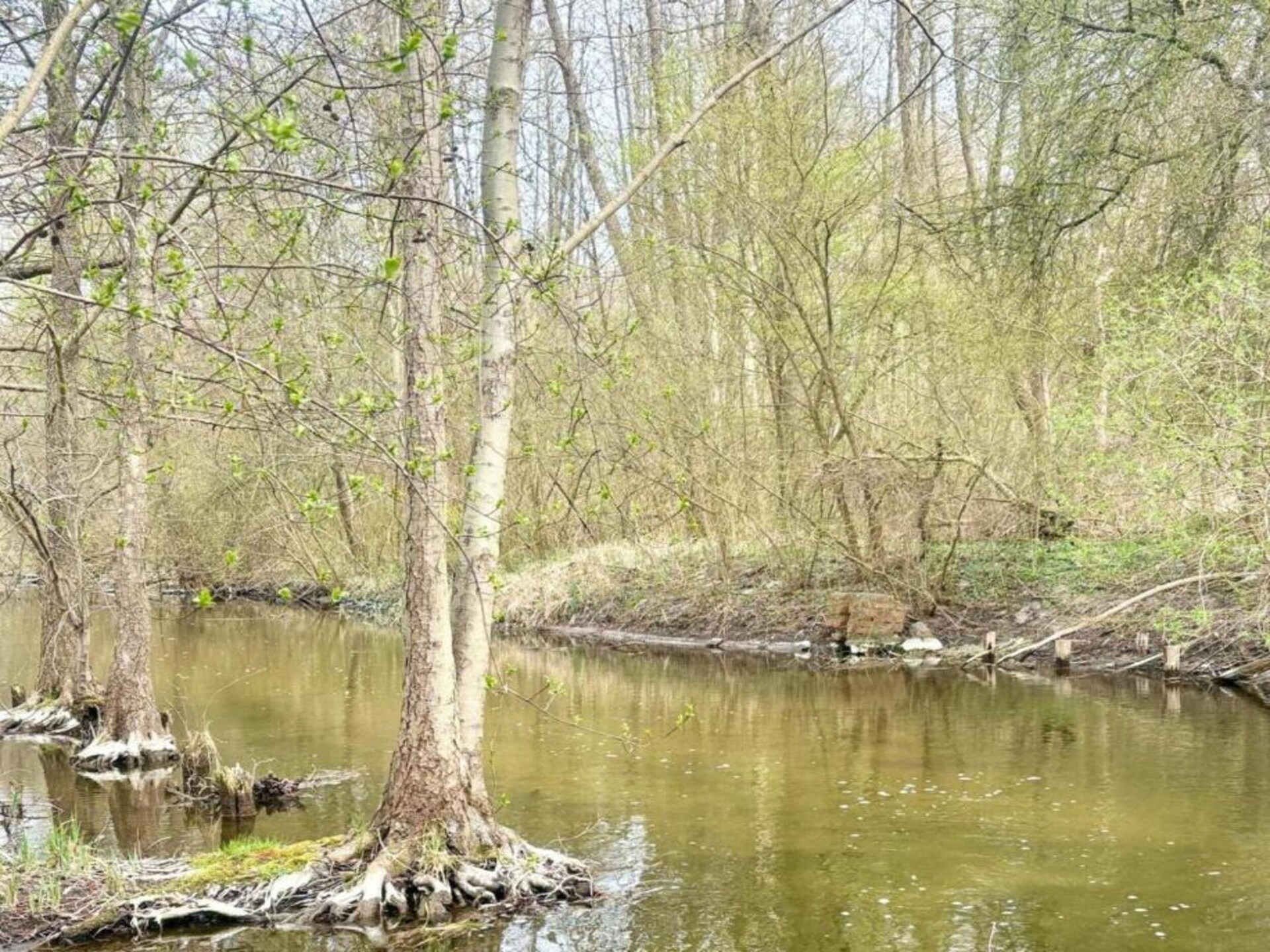 Centraal gelegen vakantiehuis aan het meer in Lubrza - foto 35